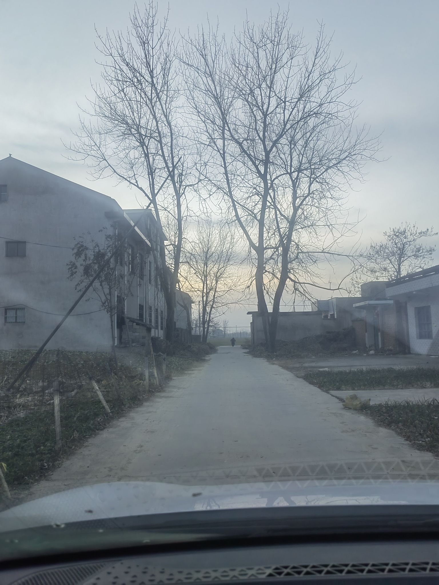 大榆树旅行图片 1
