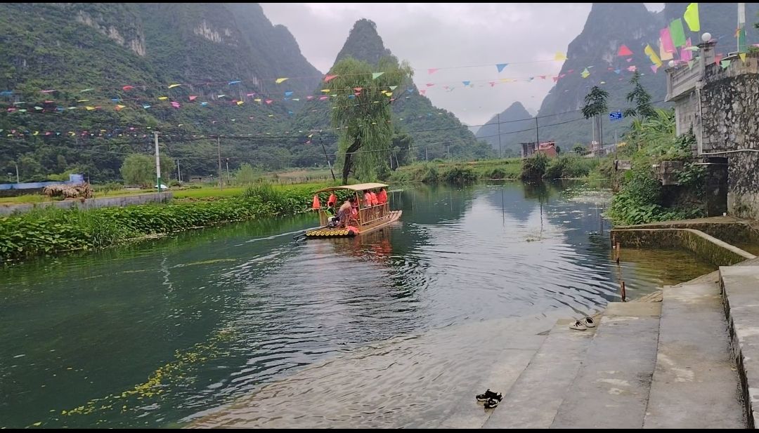 板内码头海菜花观赏点旅行图片 2