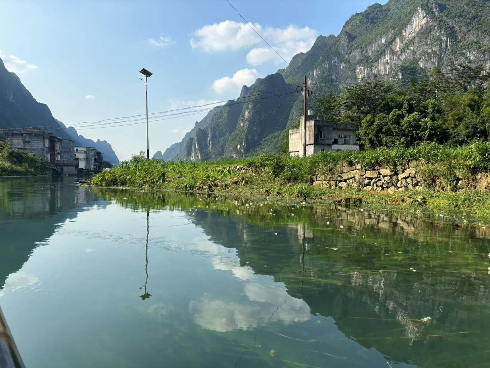 板内码头海菜花观赏点旅行图片 2