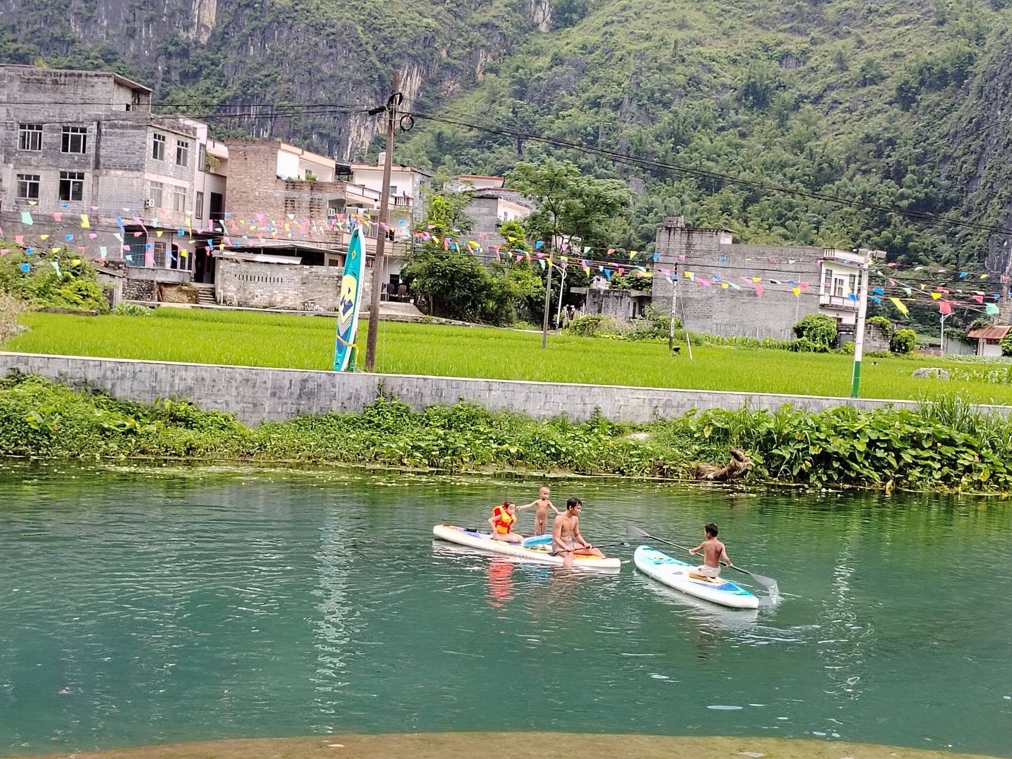 板内码头海菜花观赏点旅行图片 1