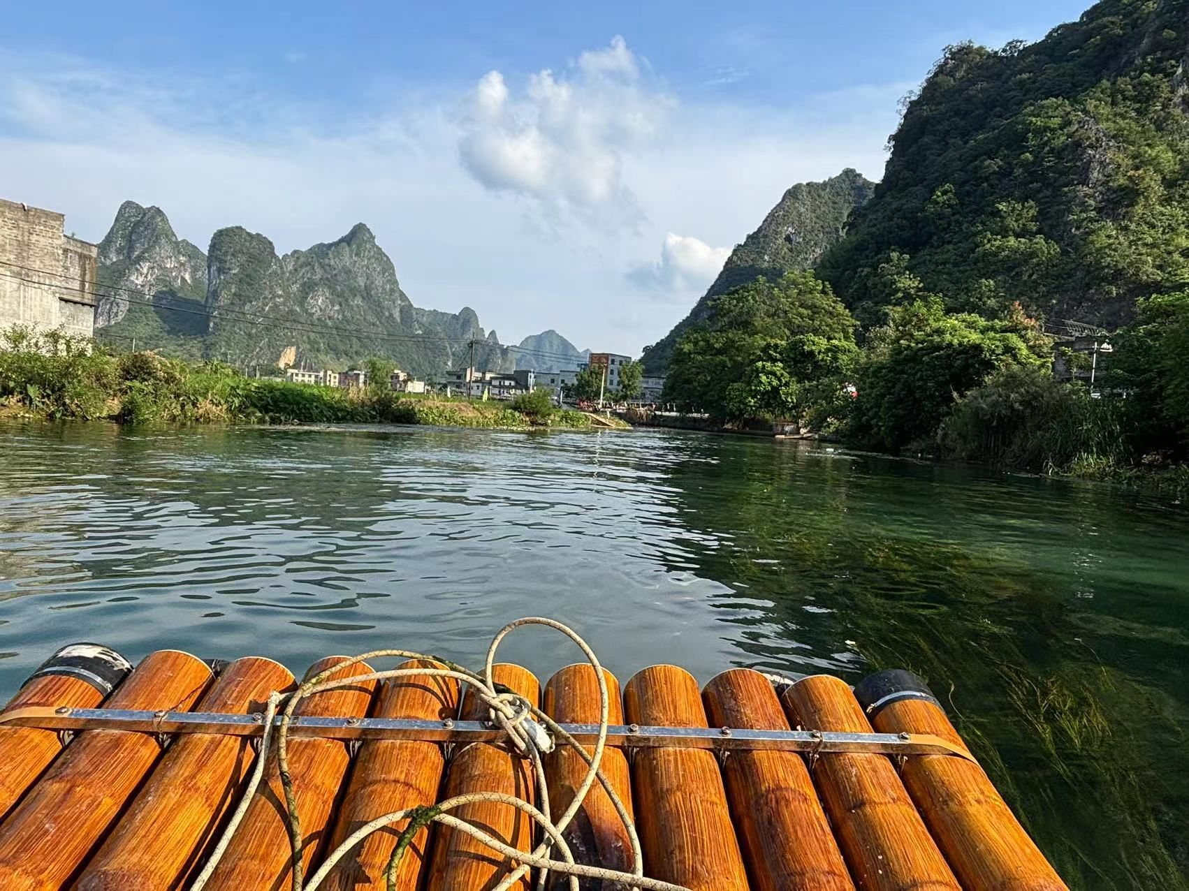 板内码头海菜花观赏点旅行图片 1