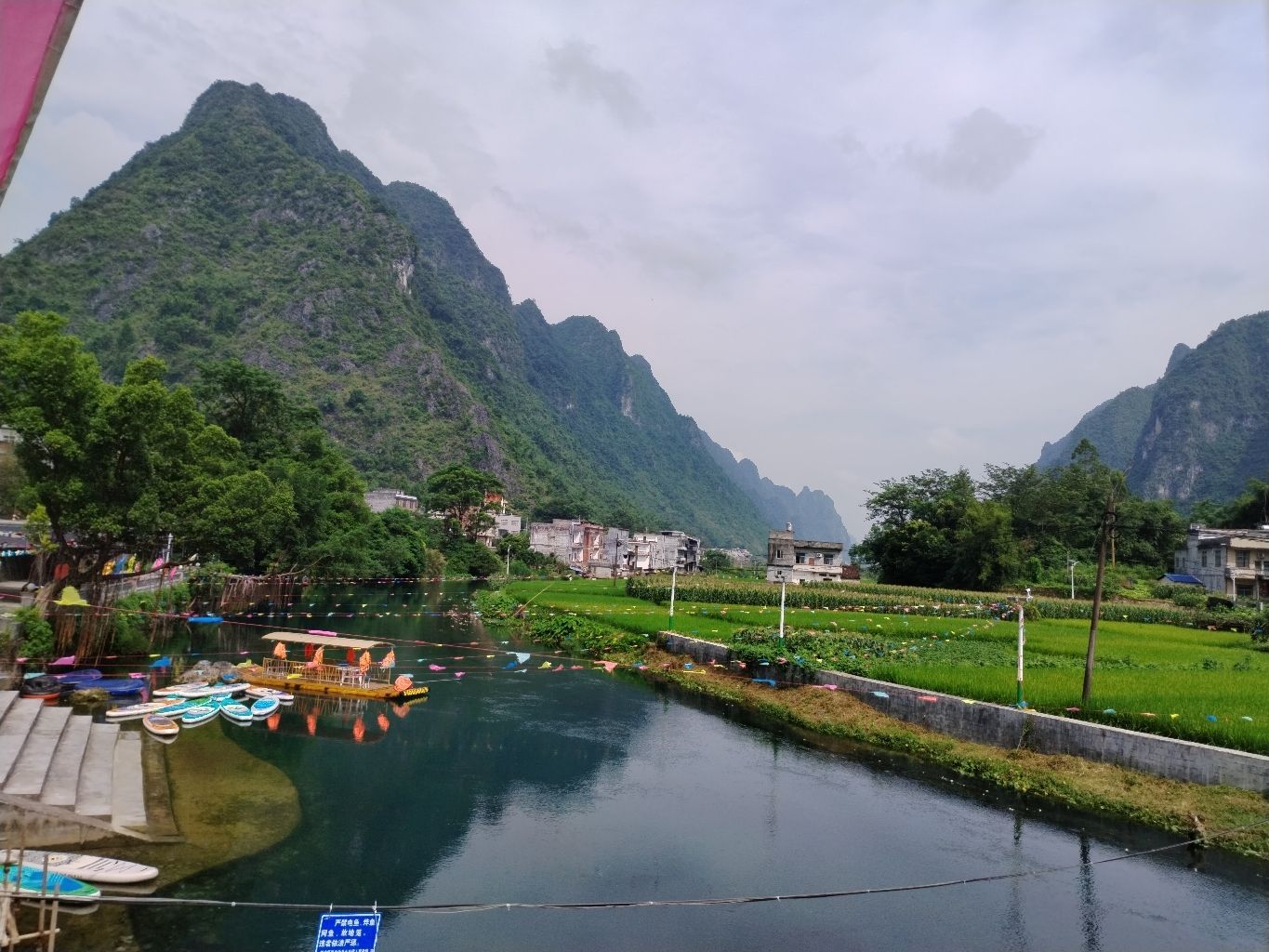 板内码头海菜花观赏点旅行图片 1