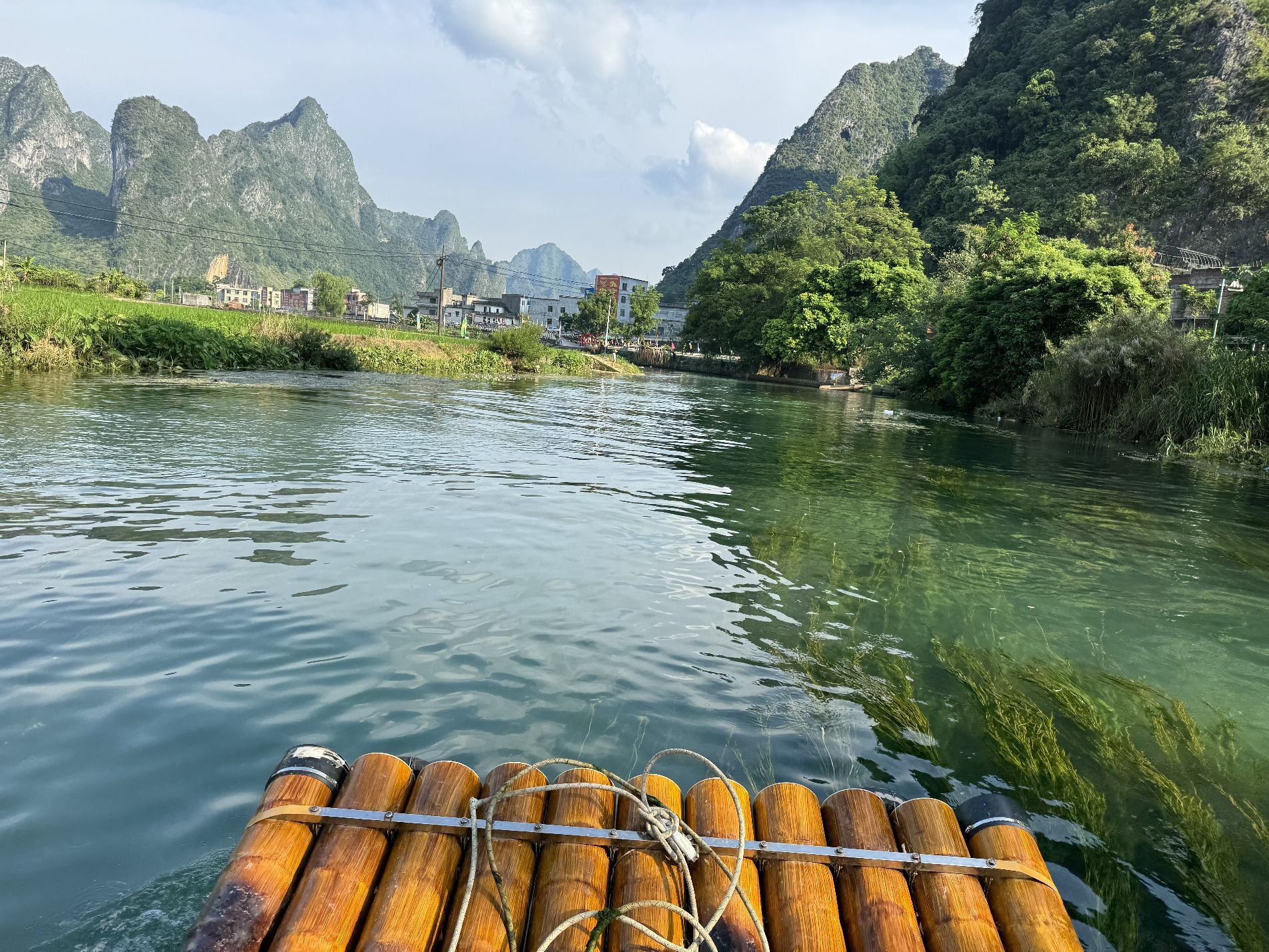 板内码头海菜花观赏点旅行图片 3
