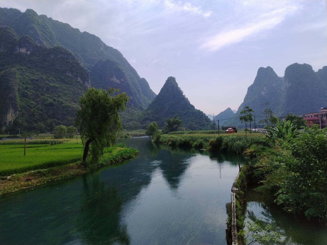 板内码头海菜花观赏点旅行图片 2