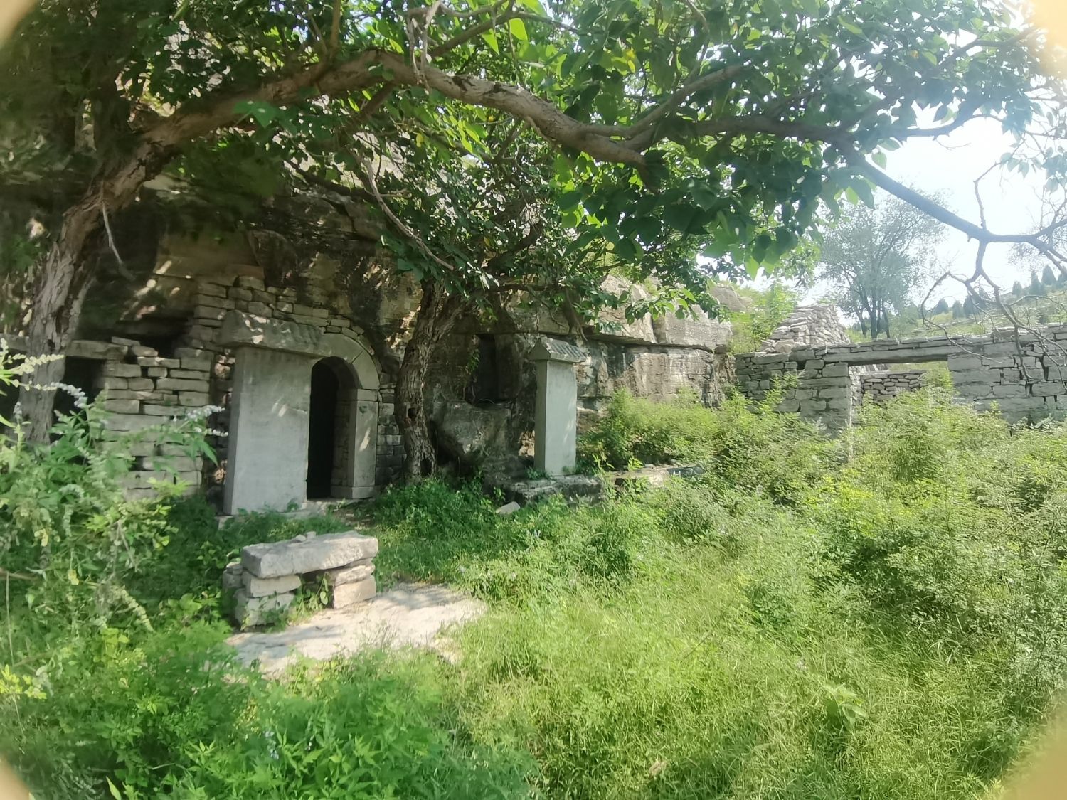 阳谷洞(养姑洞)旅行图片 2