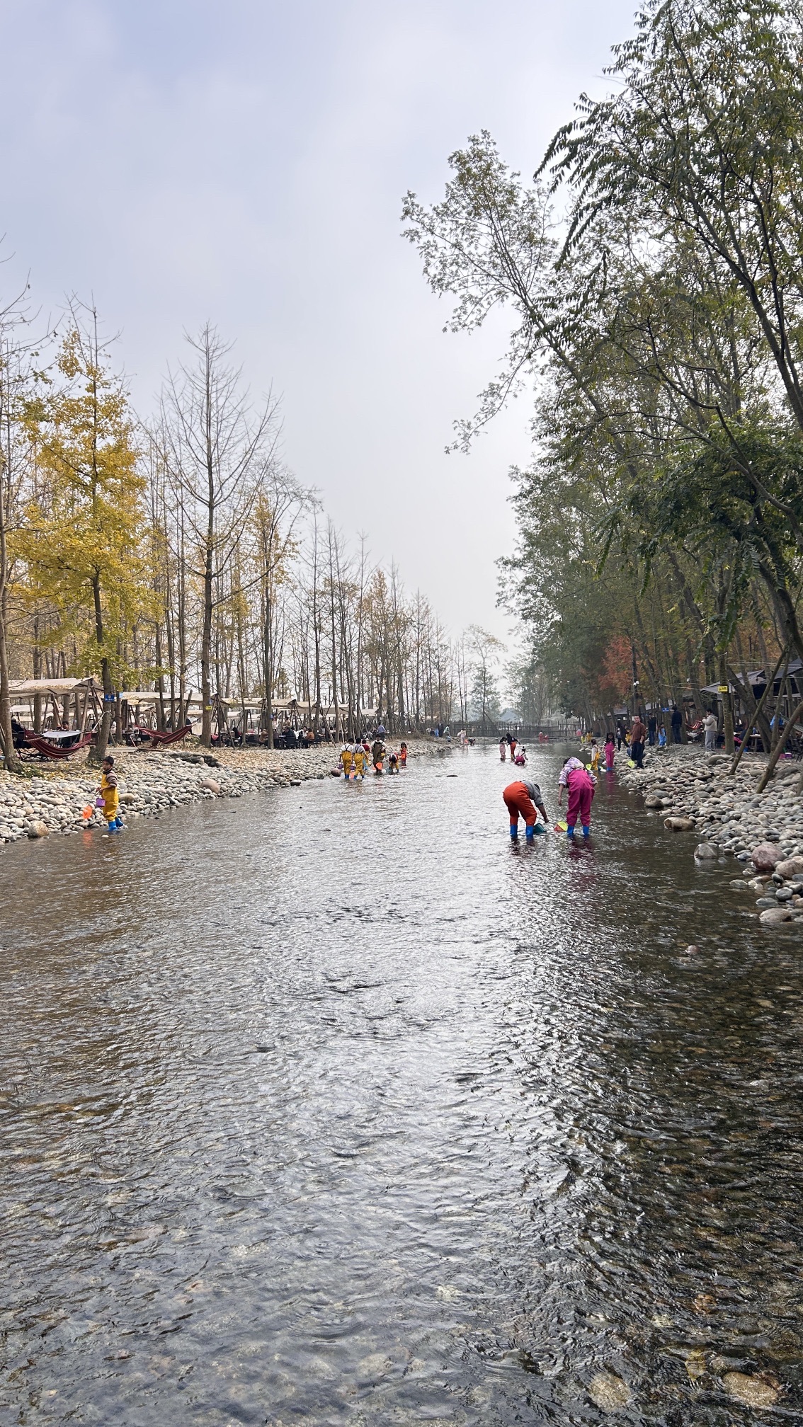 长河落日园旅行图片 2