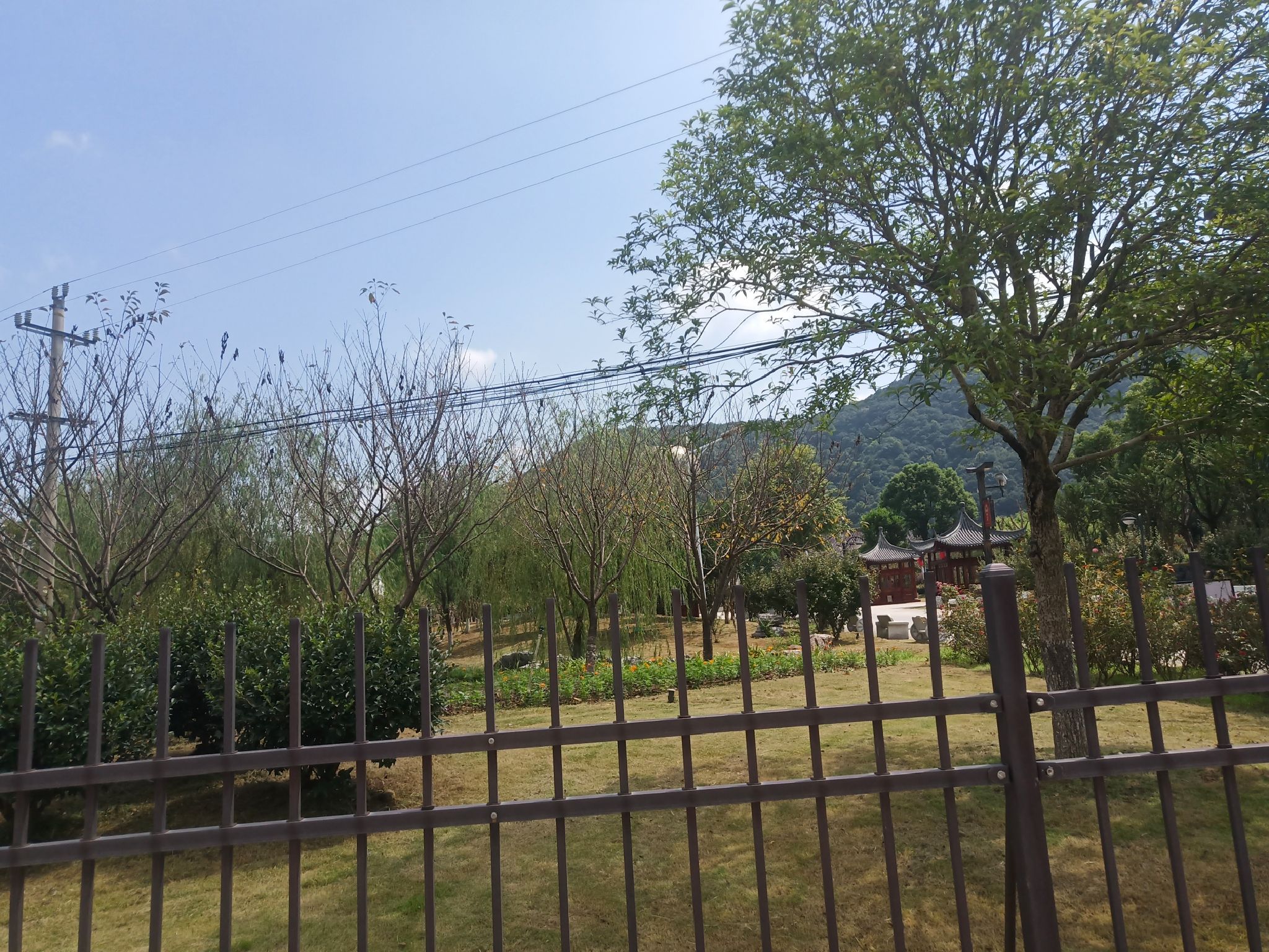 上金谷知青天幕旅行图片 3