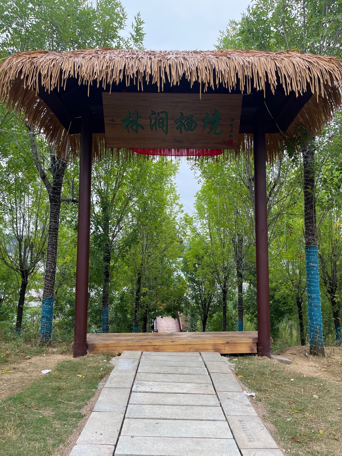 林涧栖境旅行图片 1