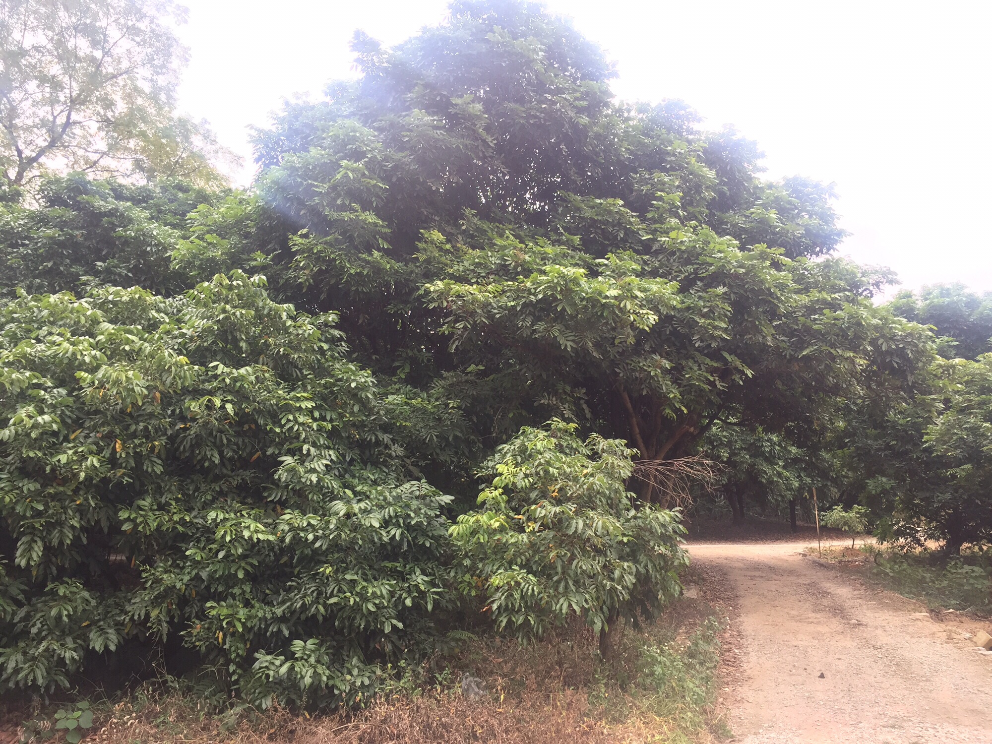 南茅小洞天旅行图片 3