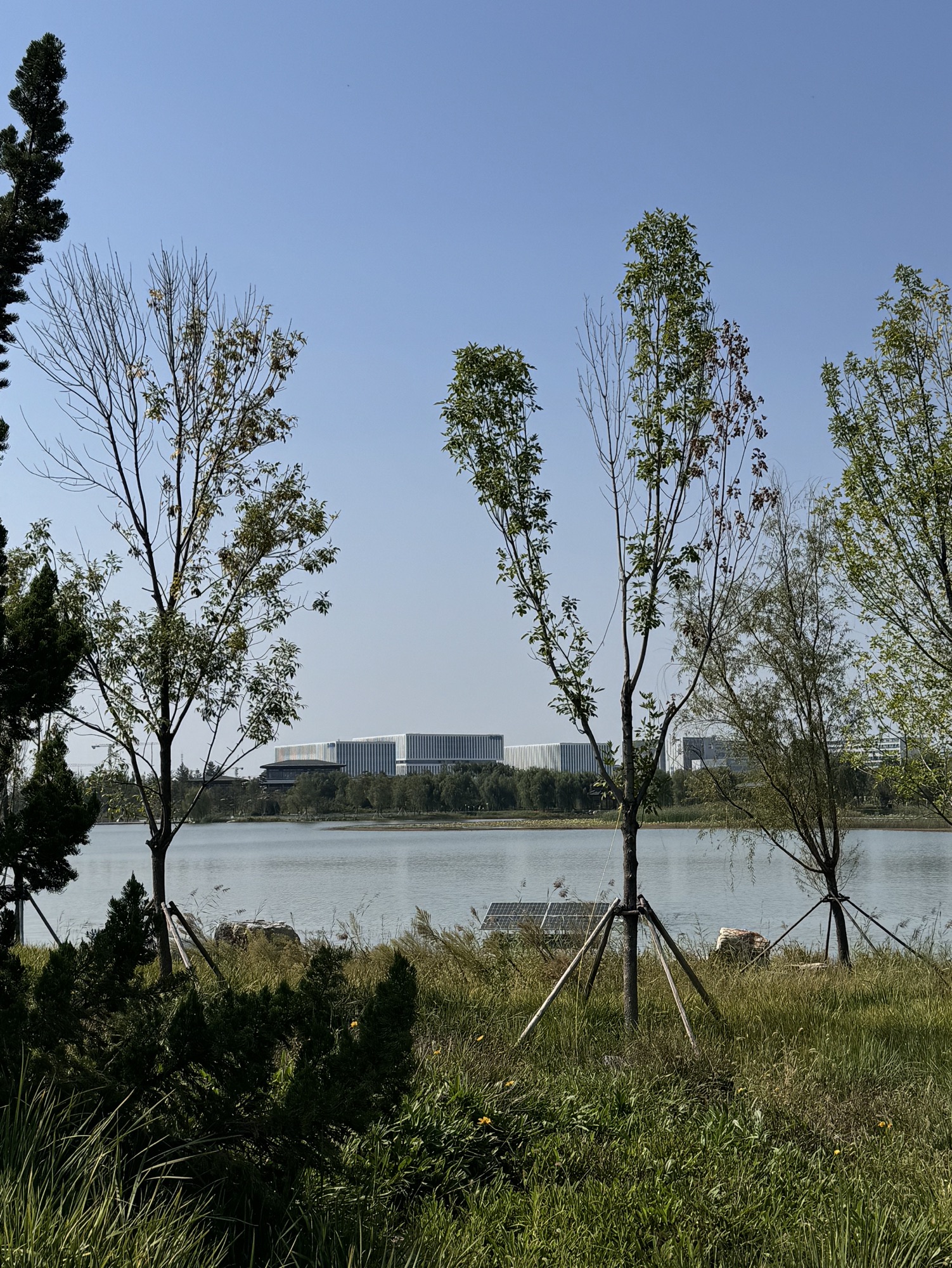 雄安·中央绿谷公园旅行图片 3