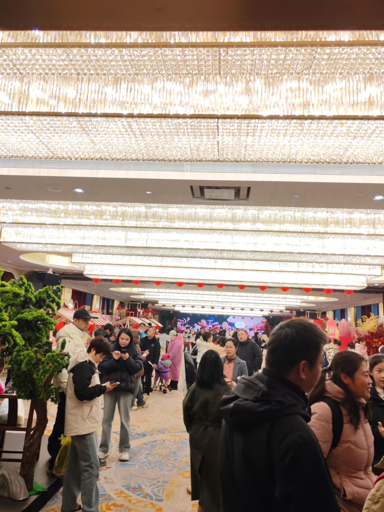 古琴号游船旅行图片 3