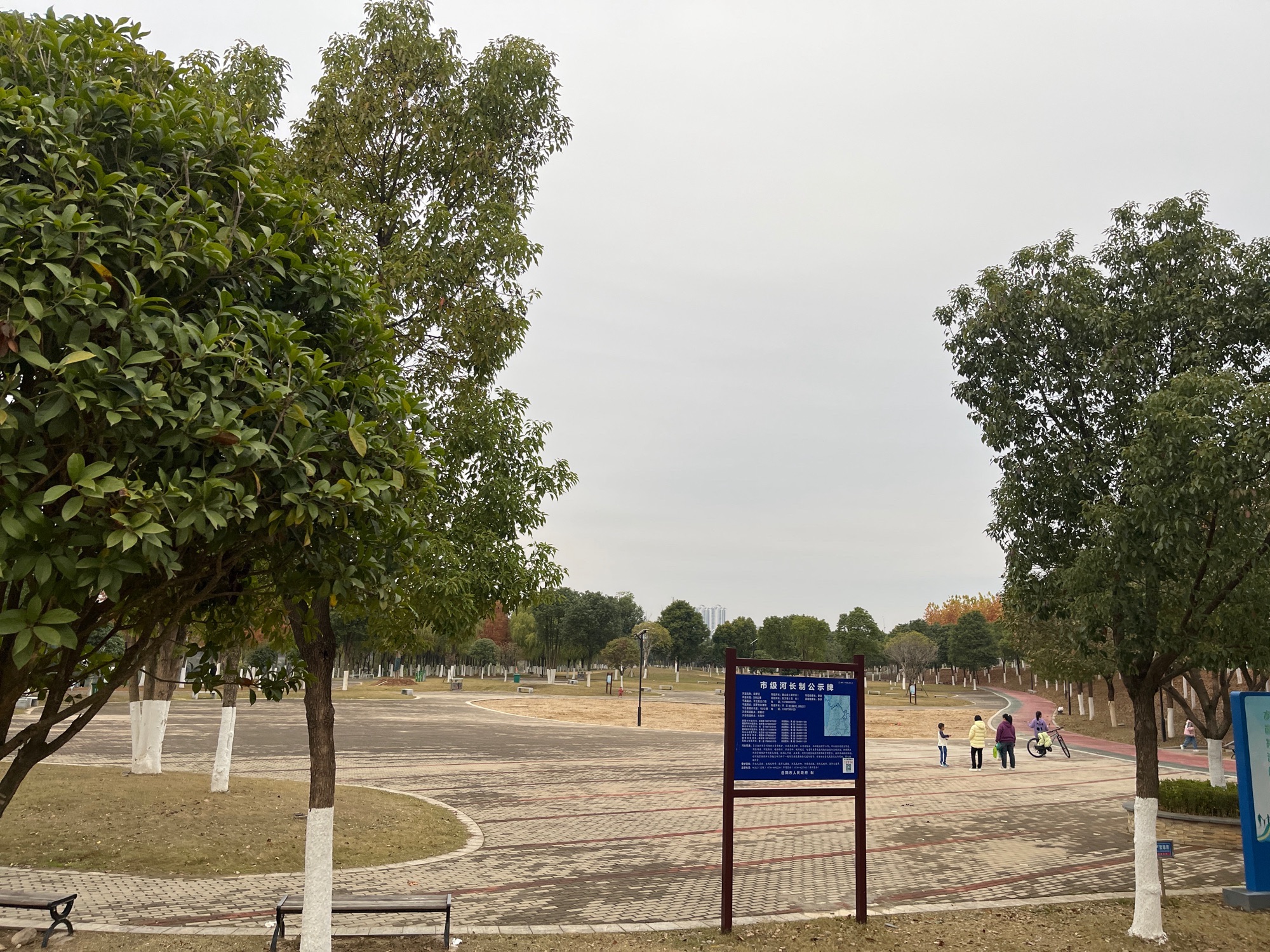 江边大沙场旅行图片 1