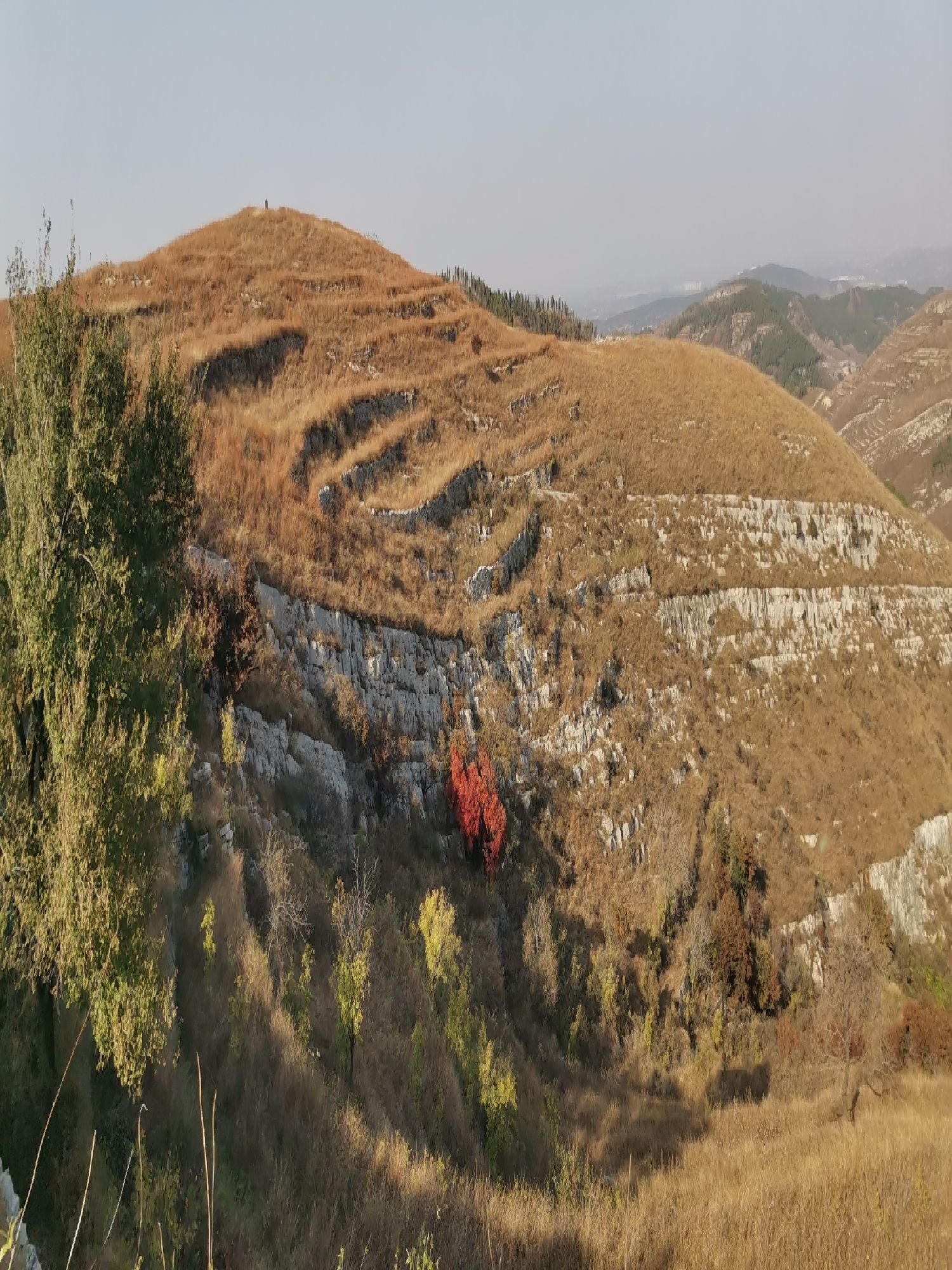 马棚村空中草原旅行图片 1