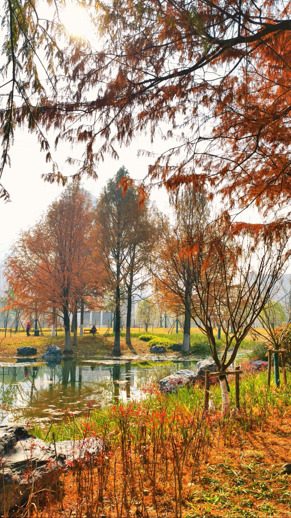 武宁公园旅行图片 3