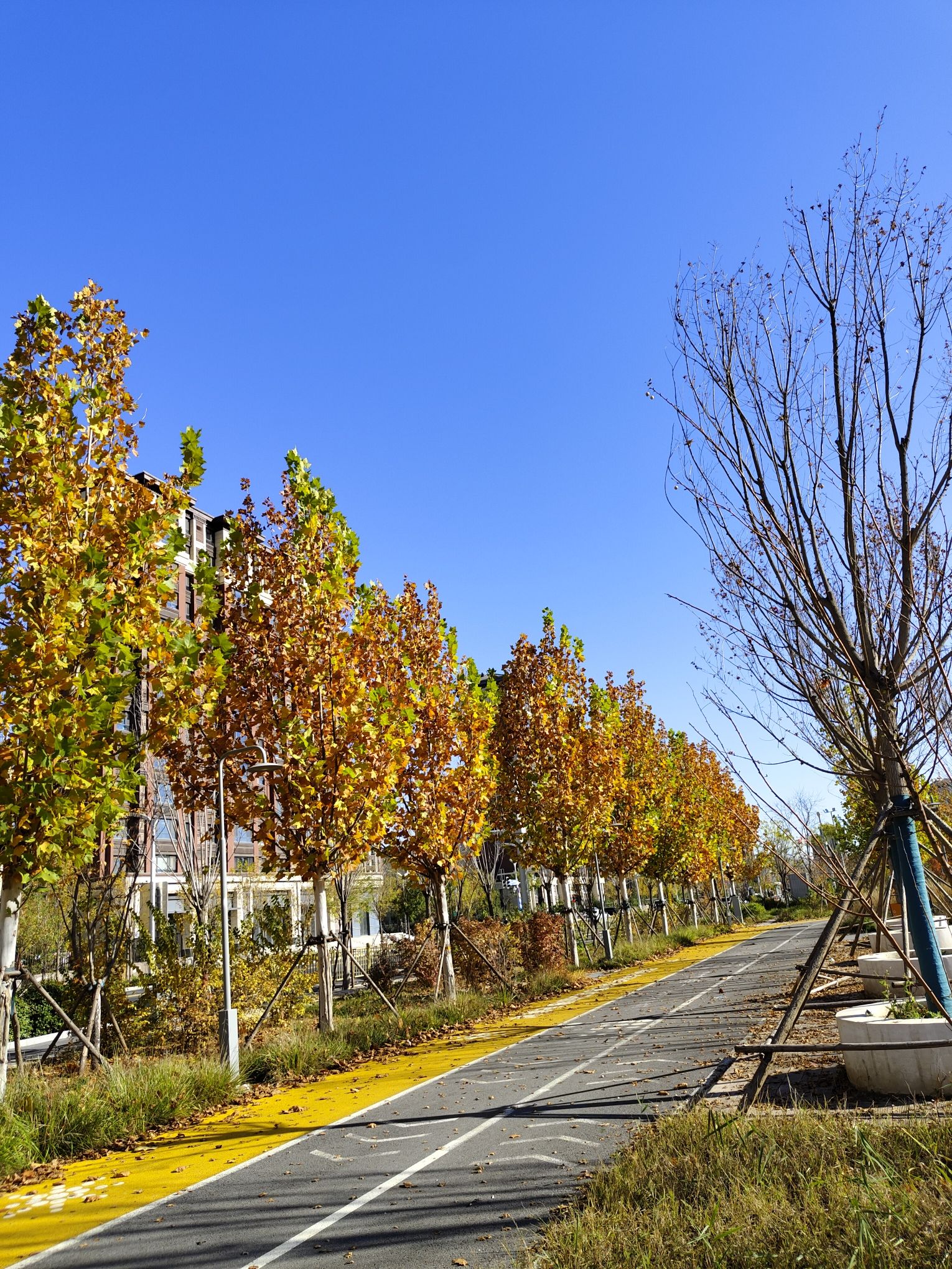 银湖公园旅行图片 1