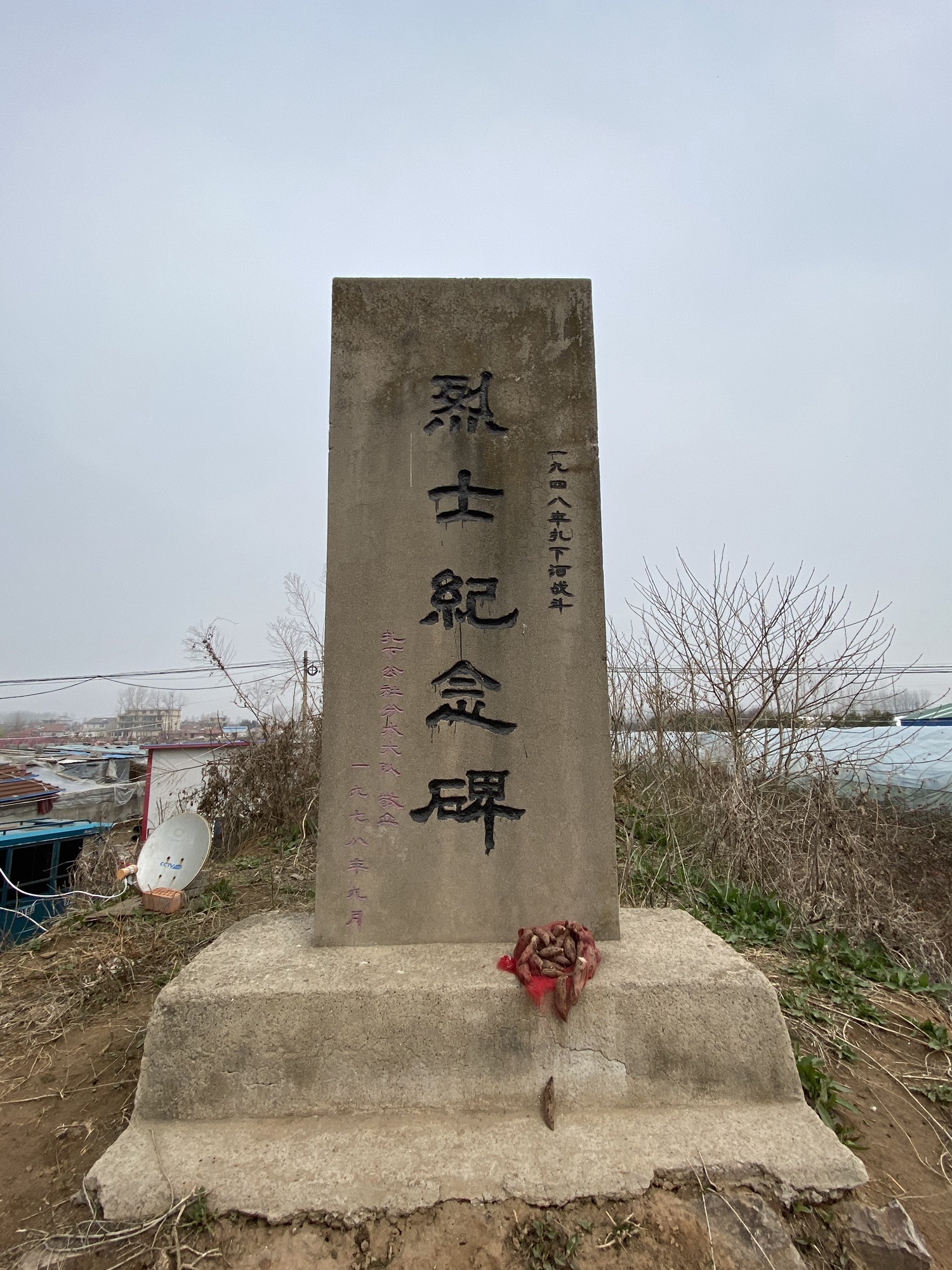 扎下战斗烈士纪念碑旅行图片 1