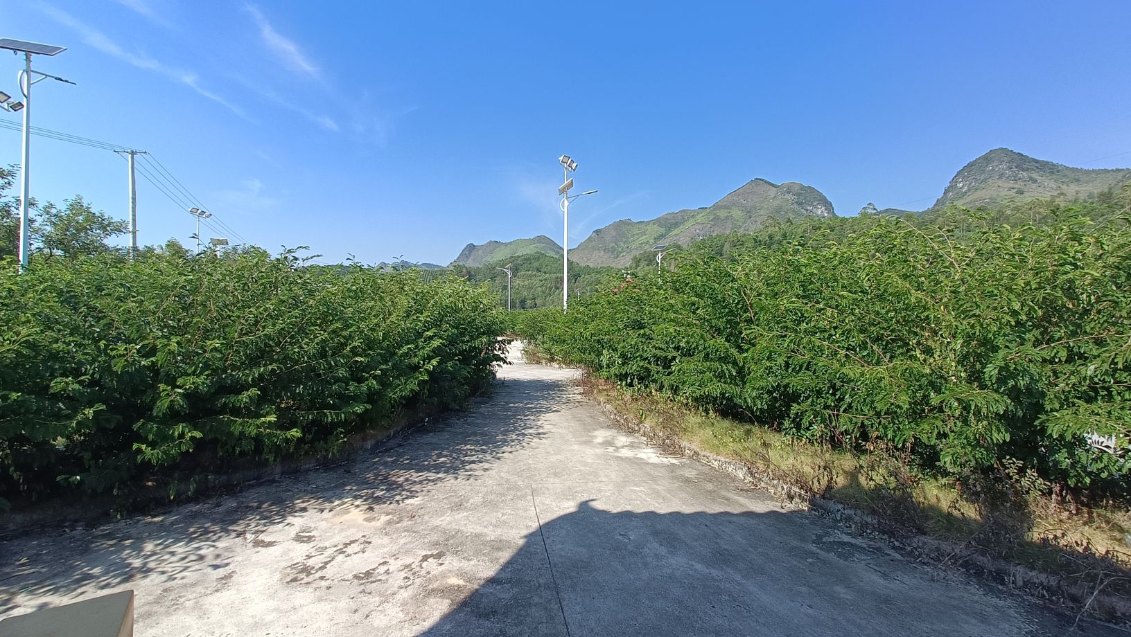 百旺镇公园广场旅行图片 1