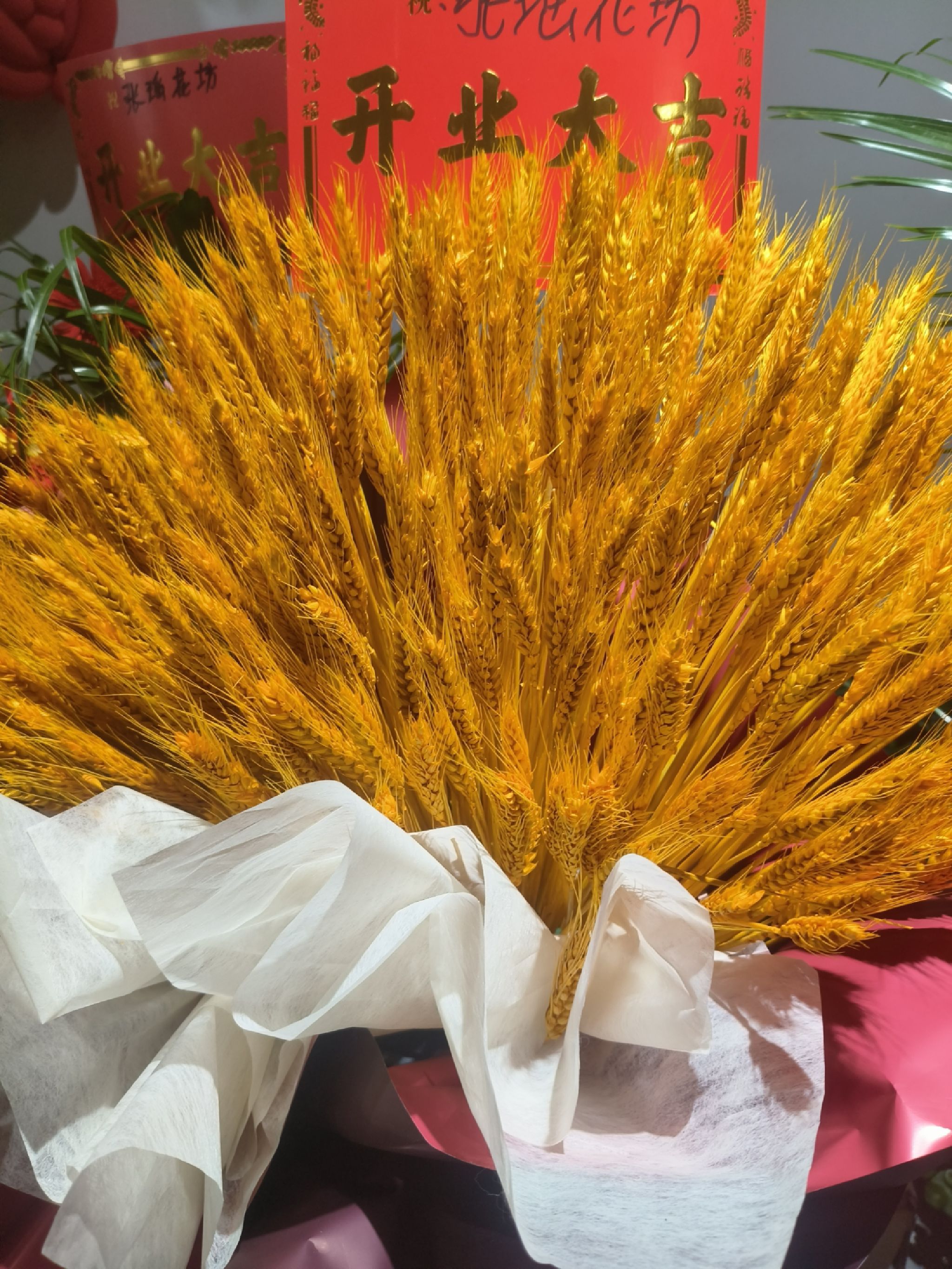 张瑶花坊