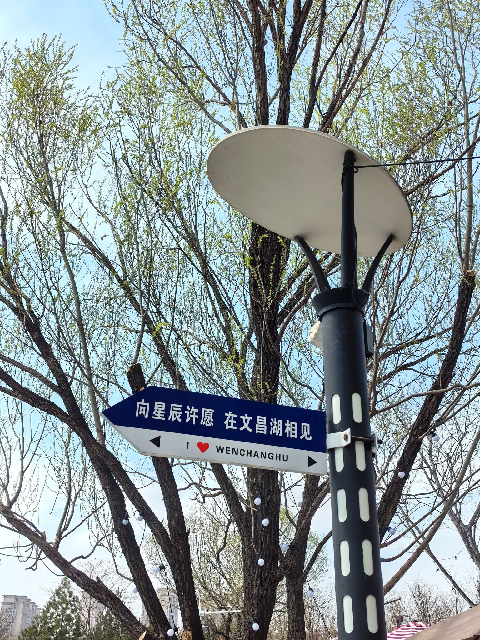 文昌湖旅行图片 2