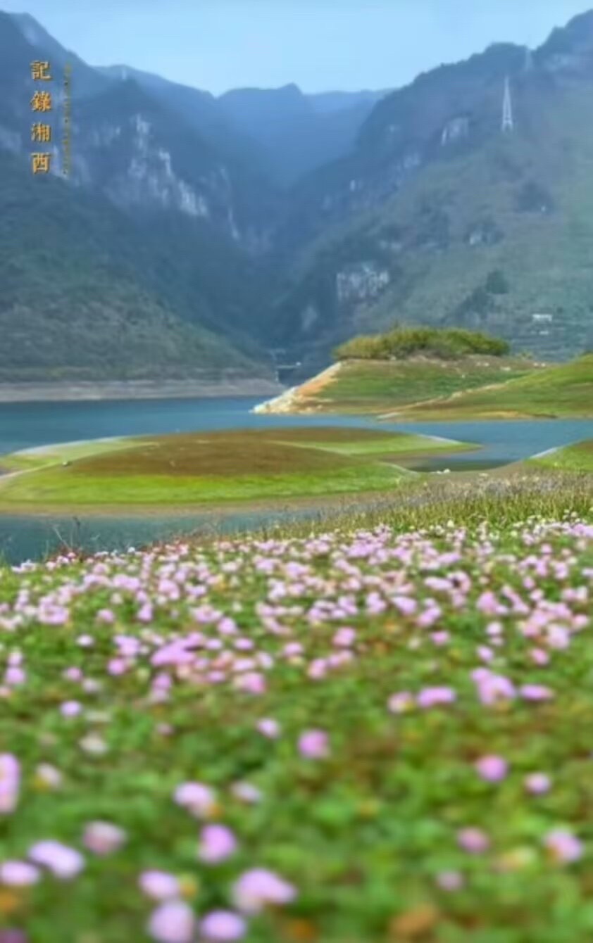 穿河谷景区旅行图片 1