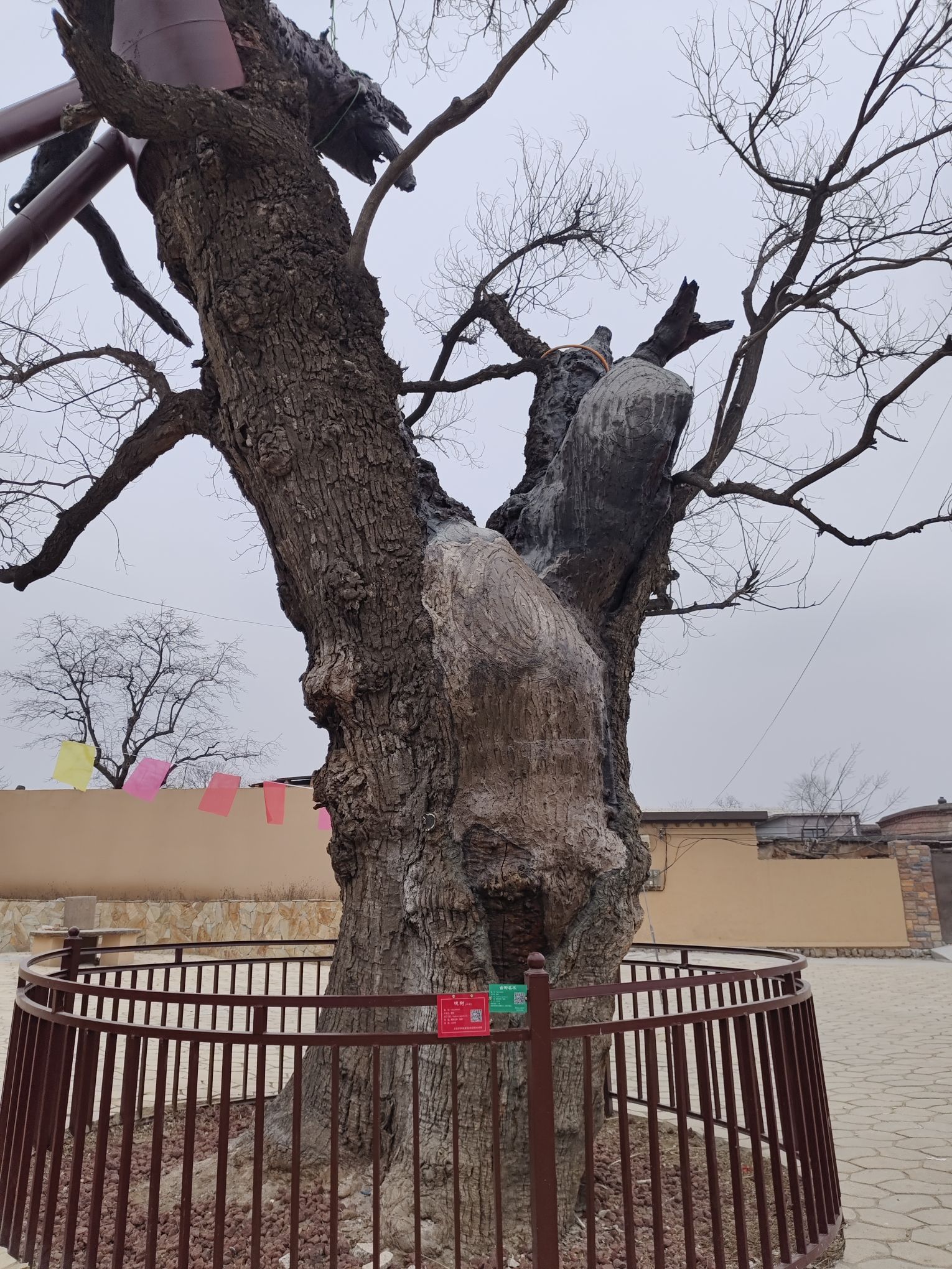赞皇六宰相馆旅行图片 3
