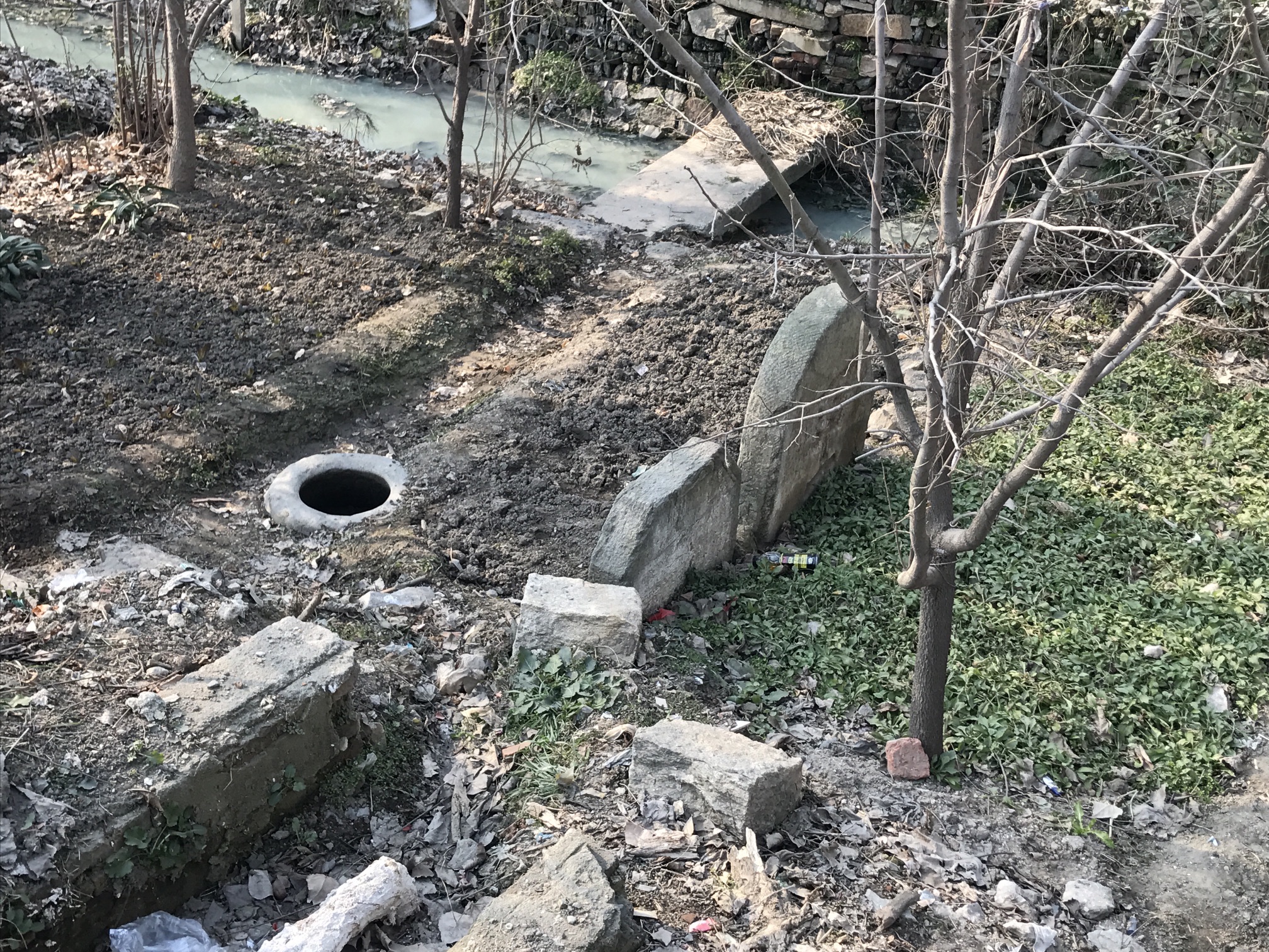 甲子桥旅行图片 3