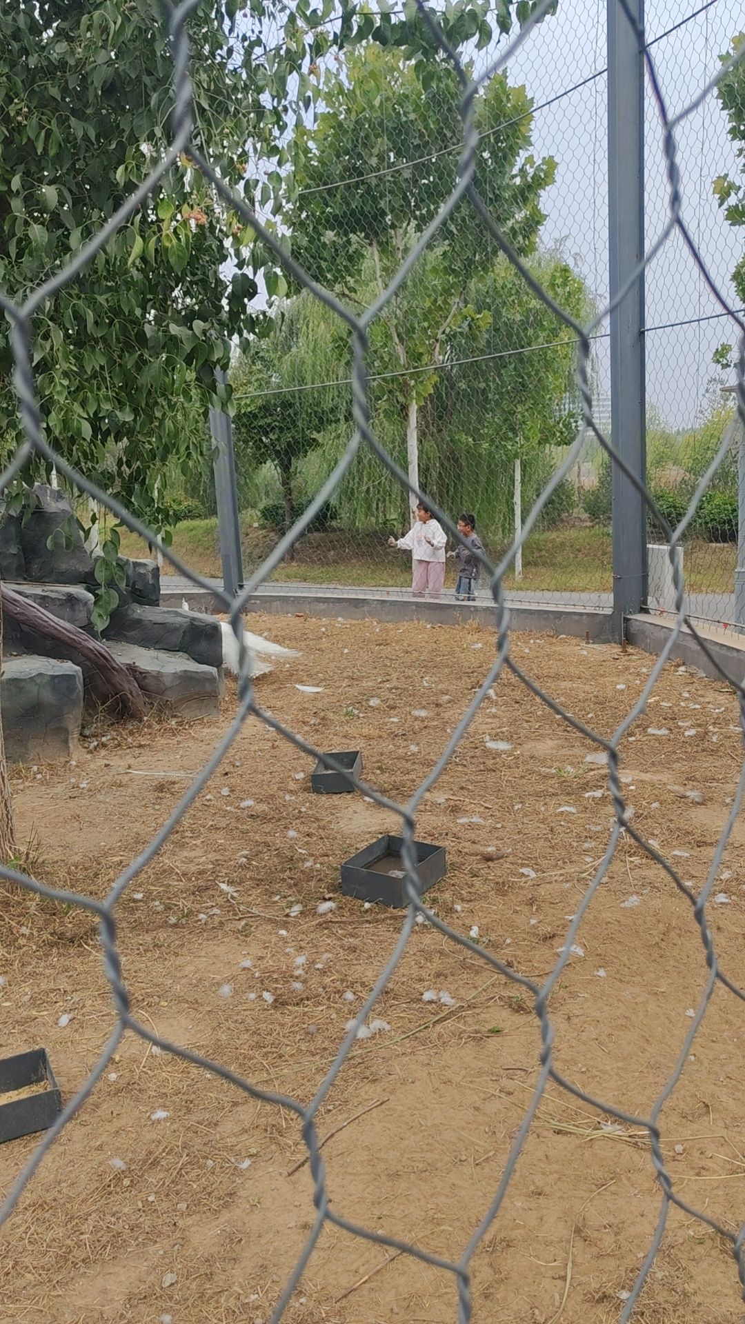 菏泽萌宠乐园旅行图片 1