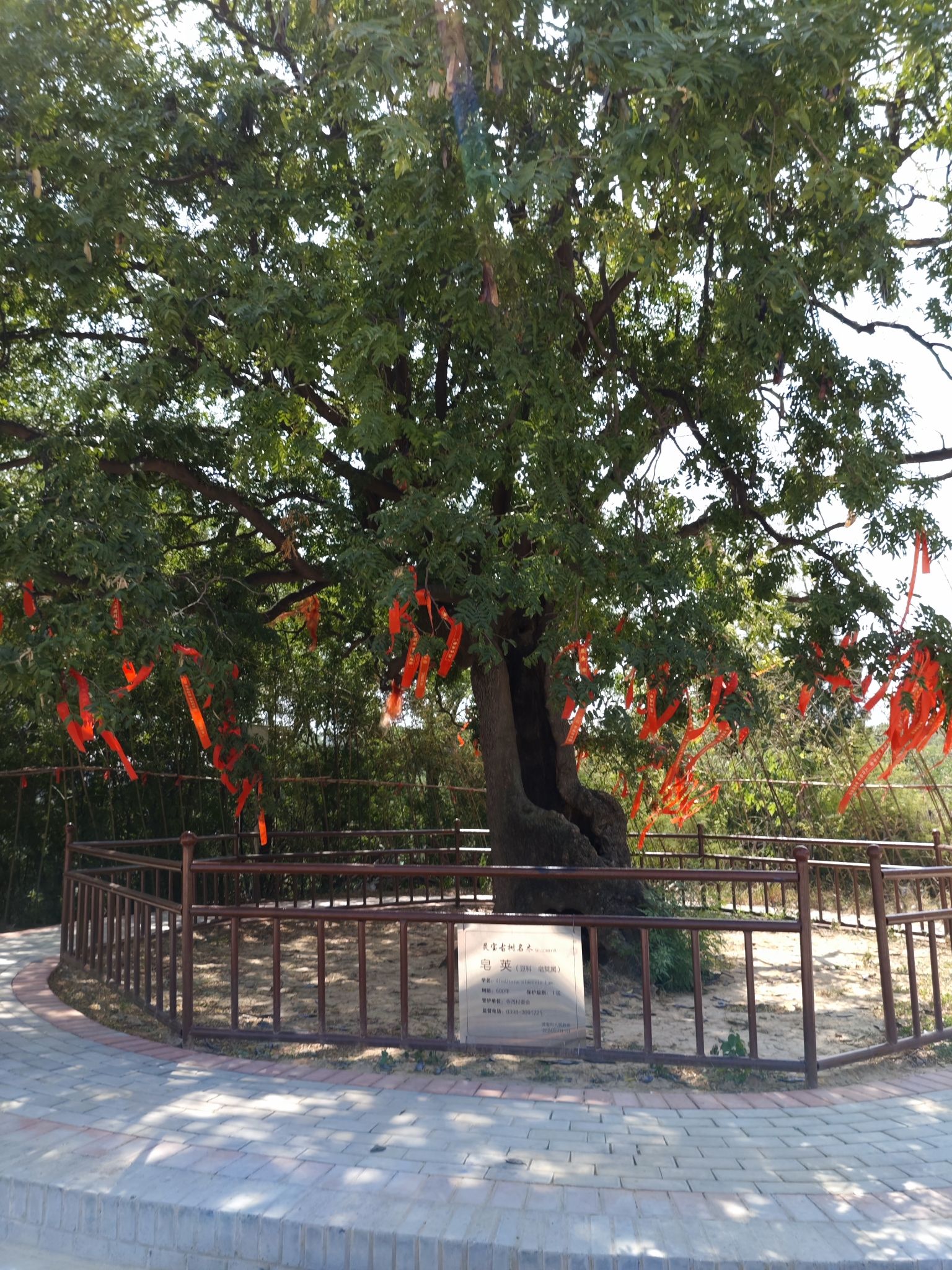 贤清阁旅行图片 3