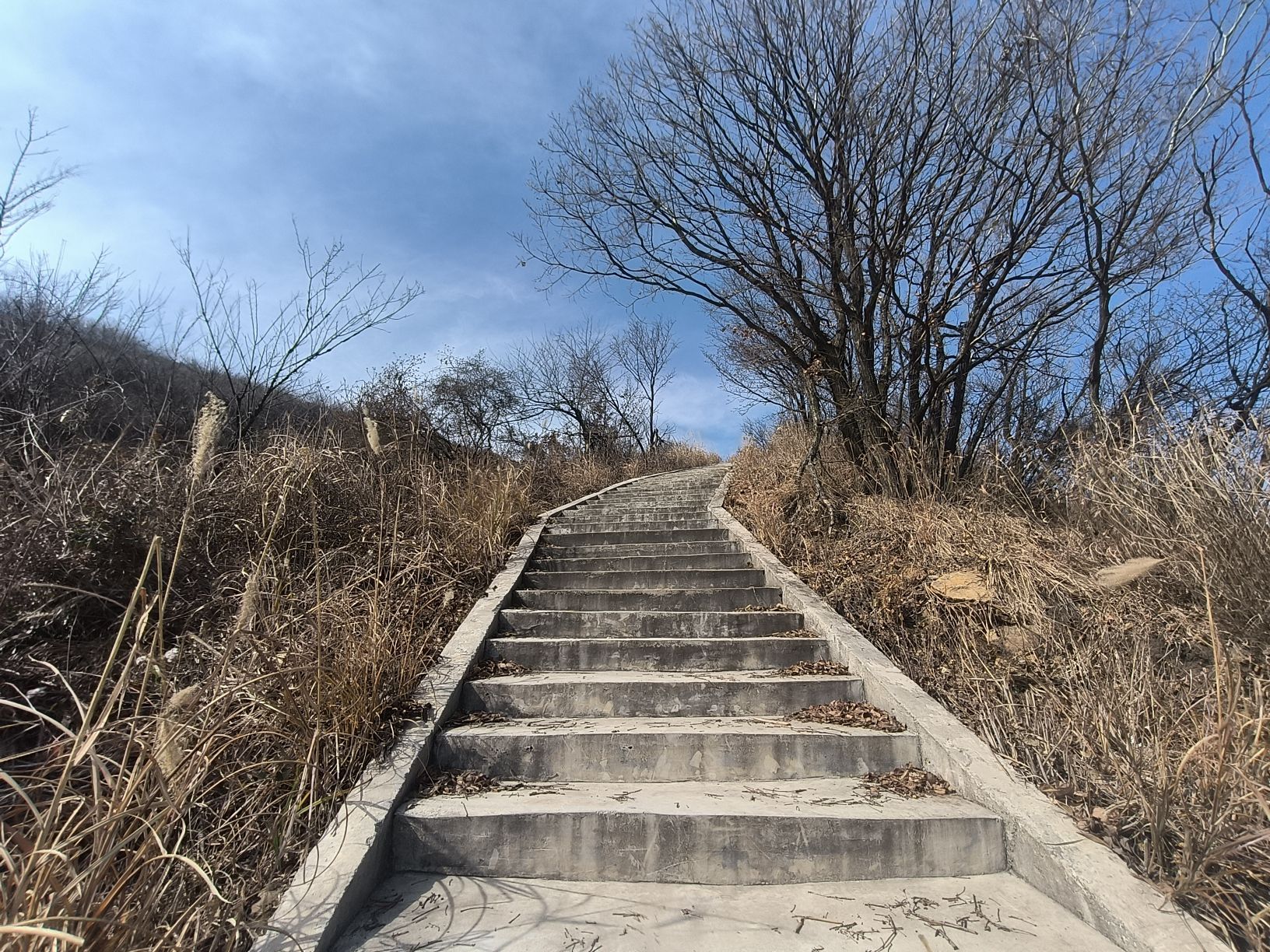 瓦子寨顶峰旅行图片 3