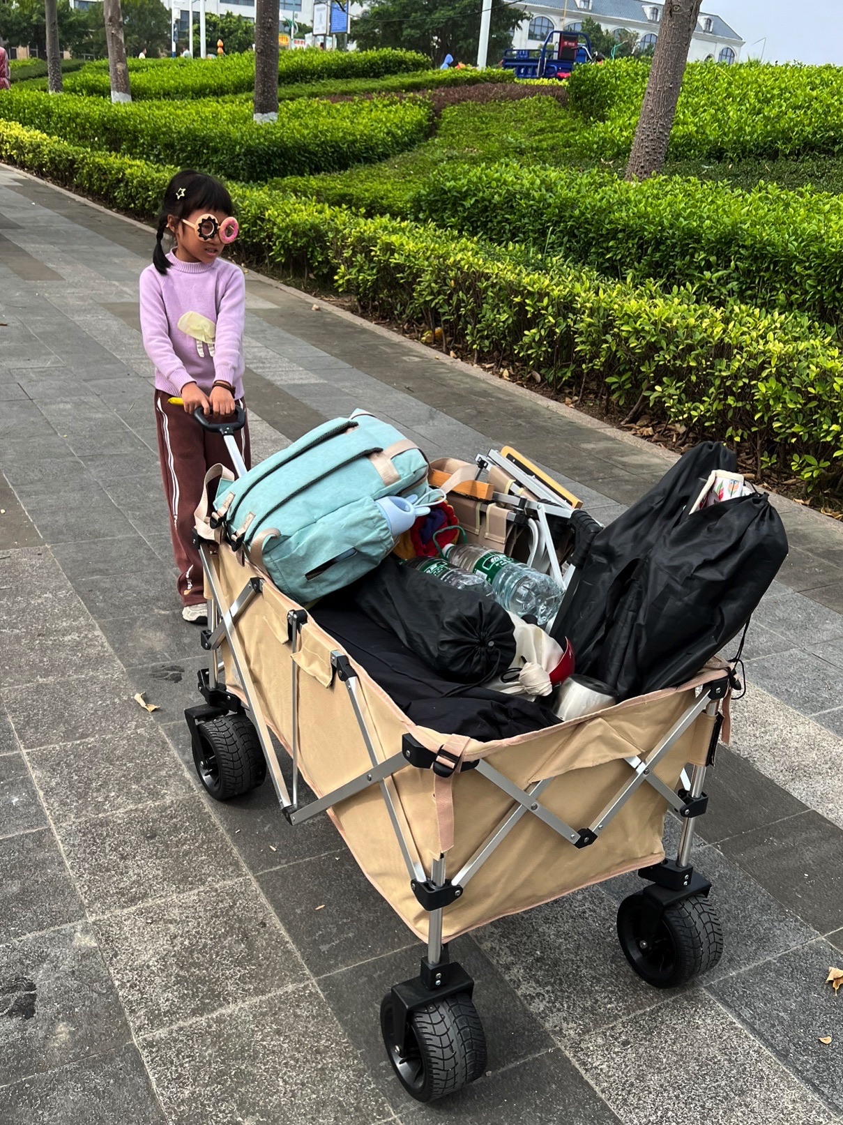 仙湖公园旅行图片 1