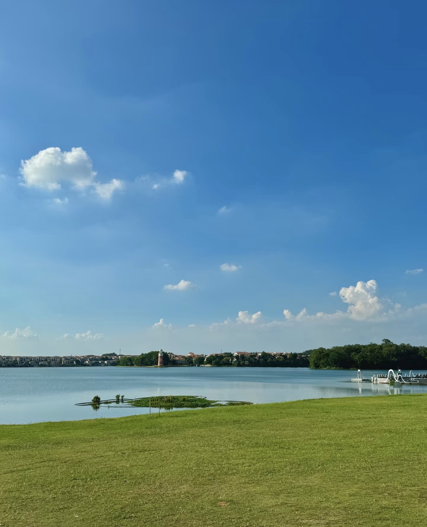 仙湖公园旅行图片 2
