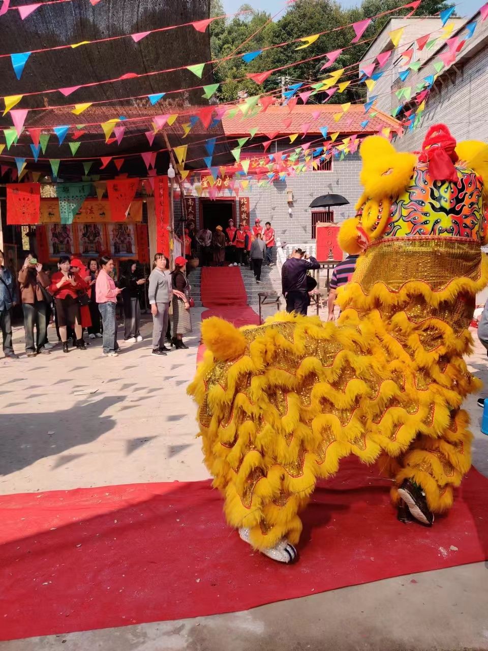 苏氏宗祠旅行图片 2