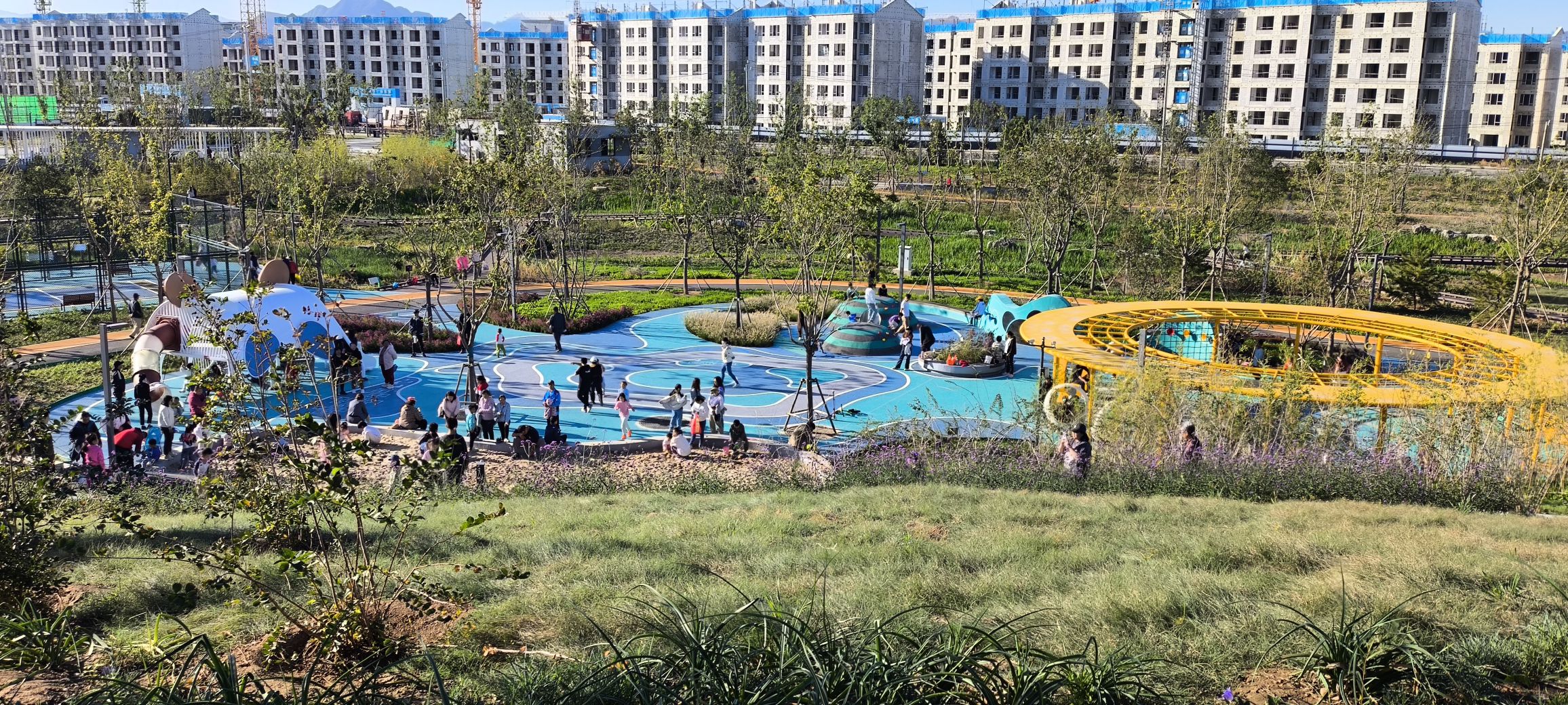 青龙湖休闲公园旅行图片 3