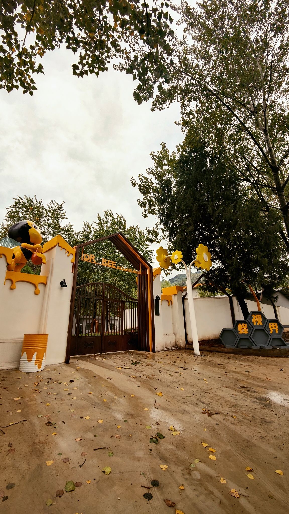 场地封面-蜂视界蜜蜂文化营地