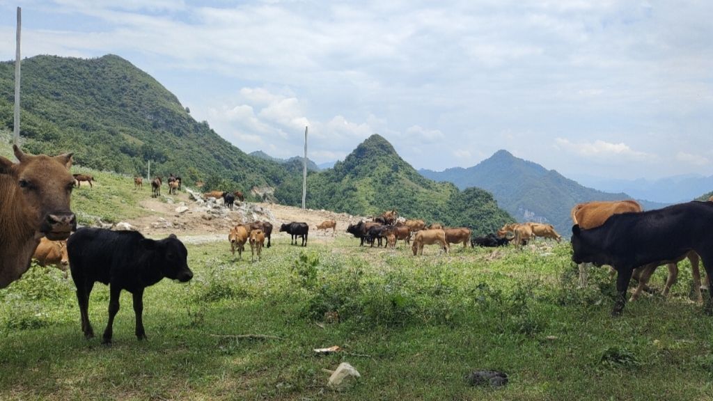 板加村龙旺坡观光风景区旅行图片 1