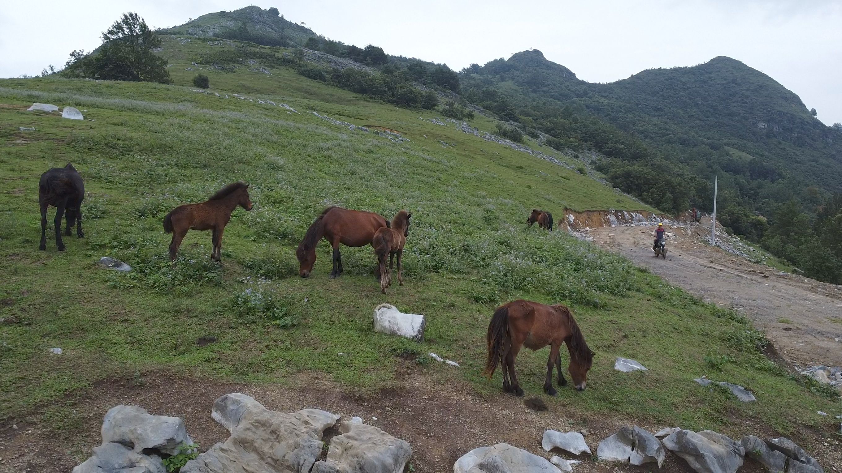 板加村龙旺坡观光风景区旅行图片 1