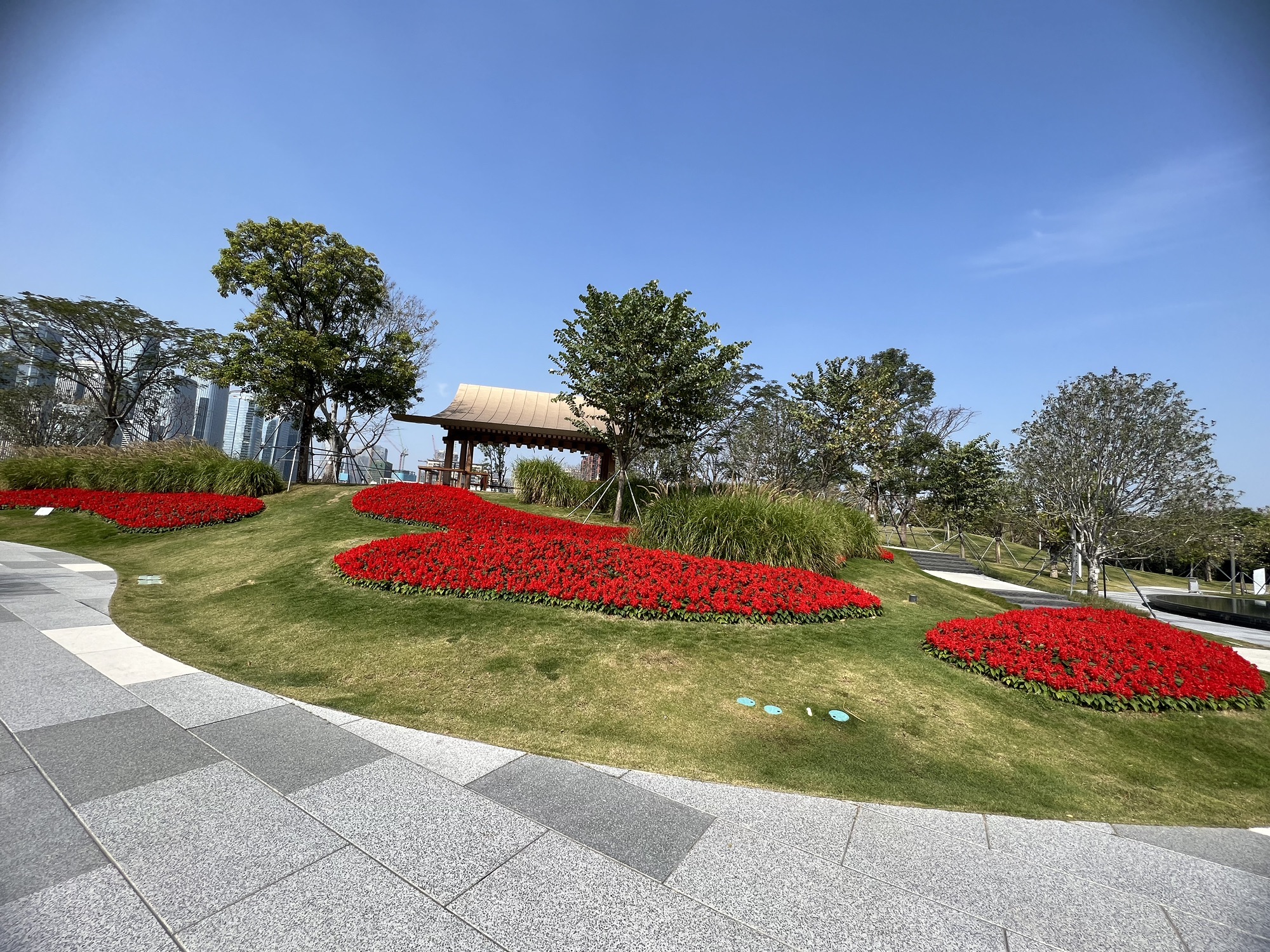 紫荆园广场旅行图片 3