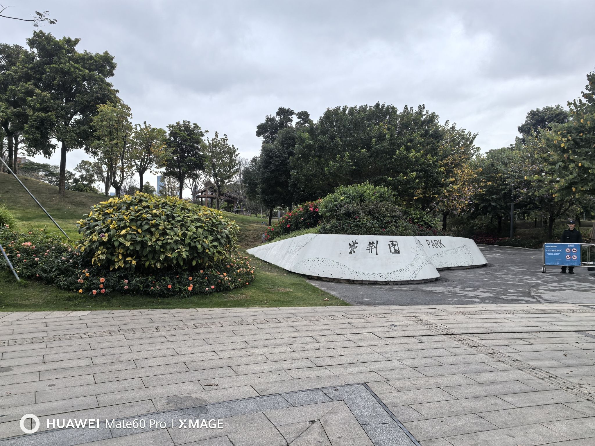 紫荆园广场旅行图片 1