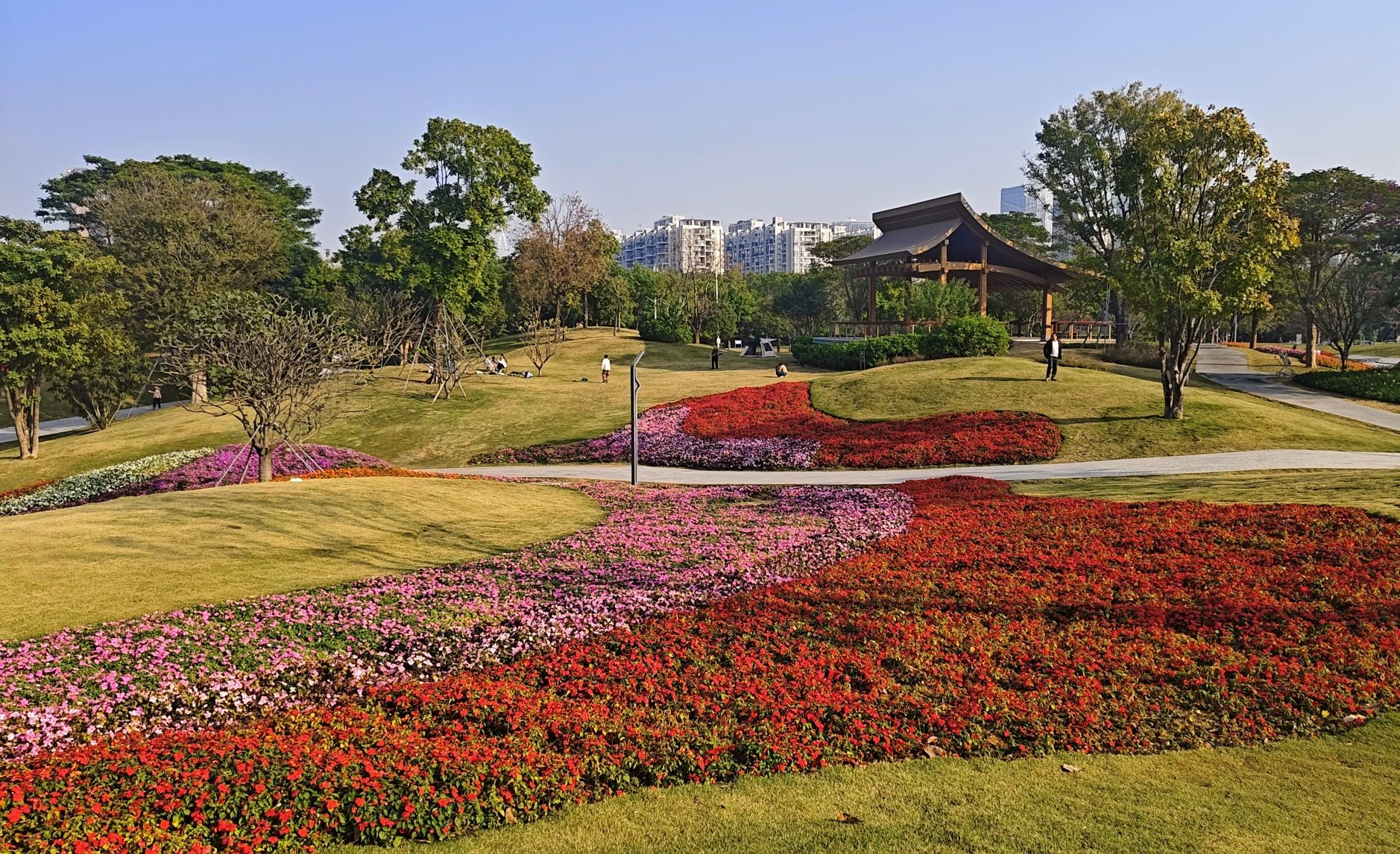 紫荆园广场旅行图片 2