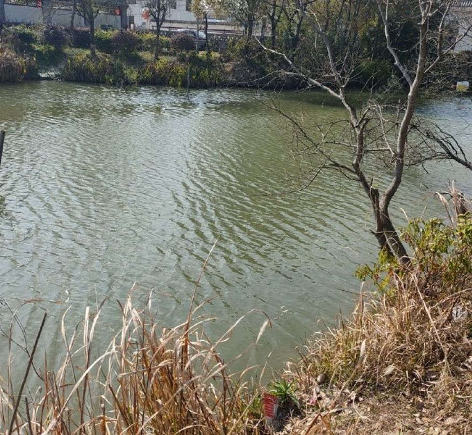 峰江下陶垂钓场