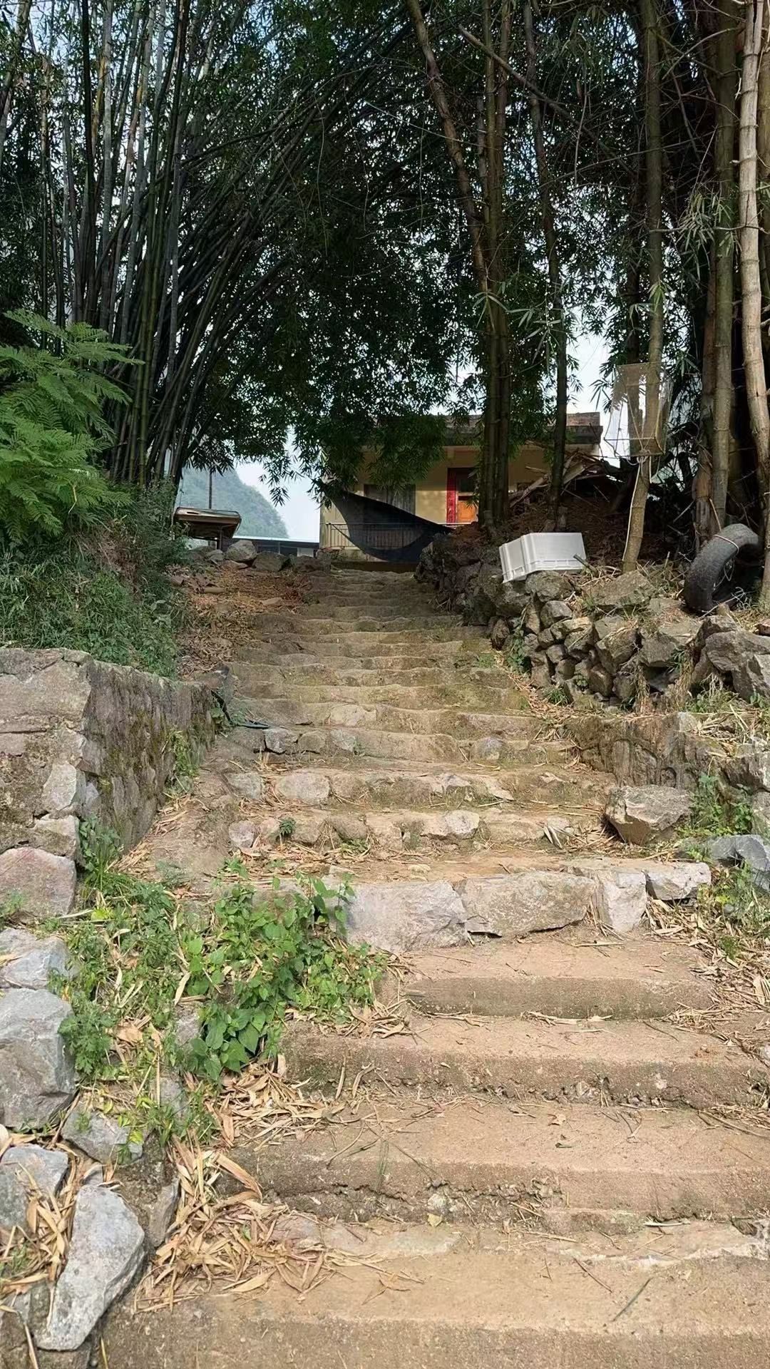九马画山观景台旅行图片 1