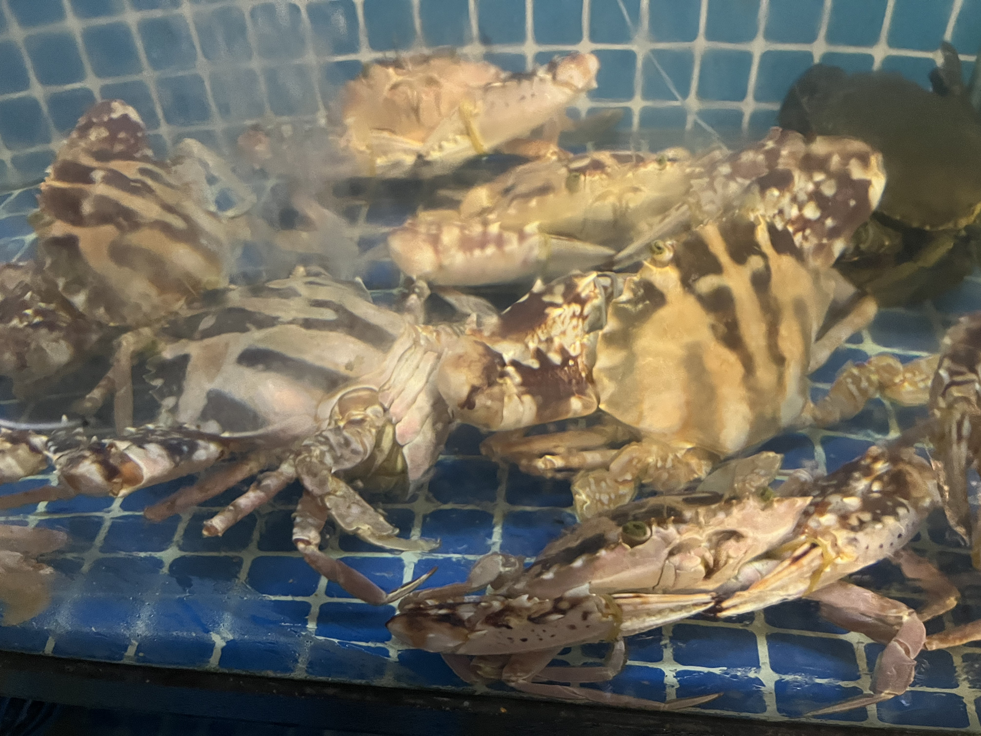 琼州山海宴
