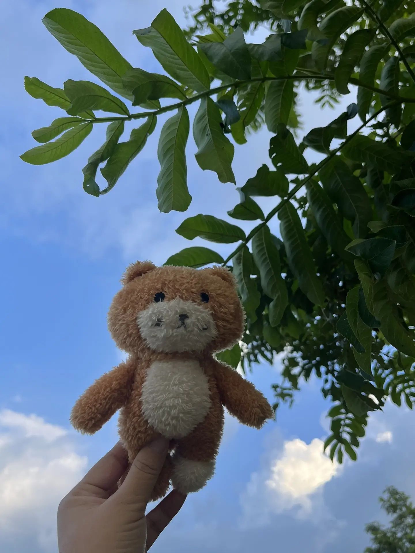 徽州大草原旅行图片 3