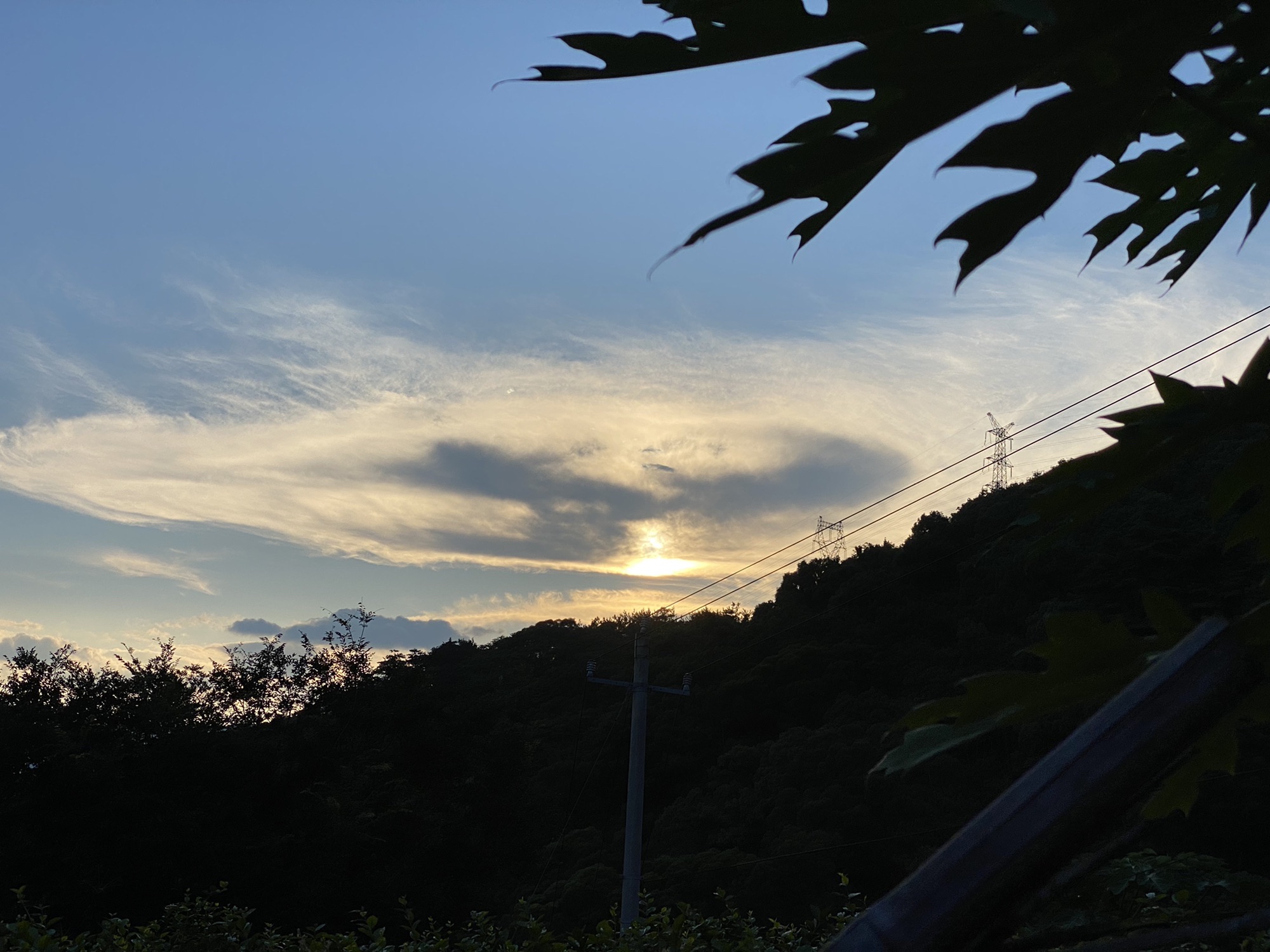 状元岭登山道旅行图片 3