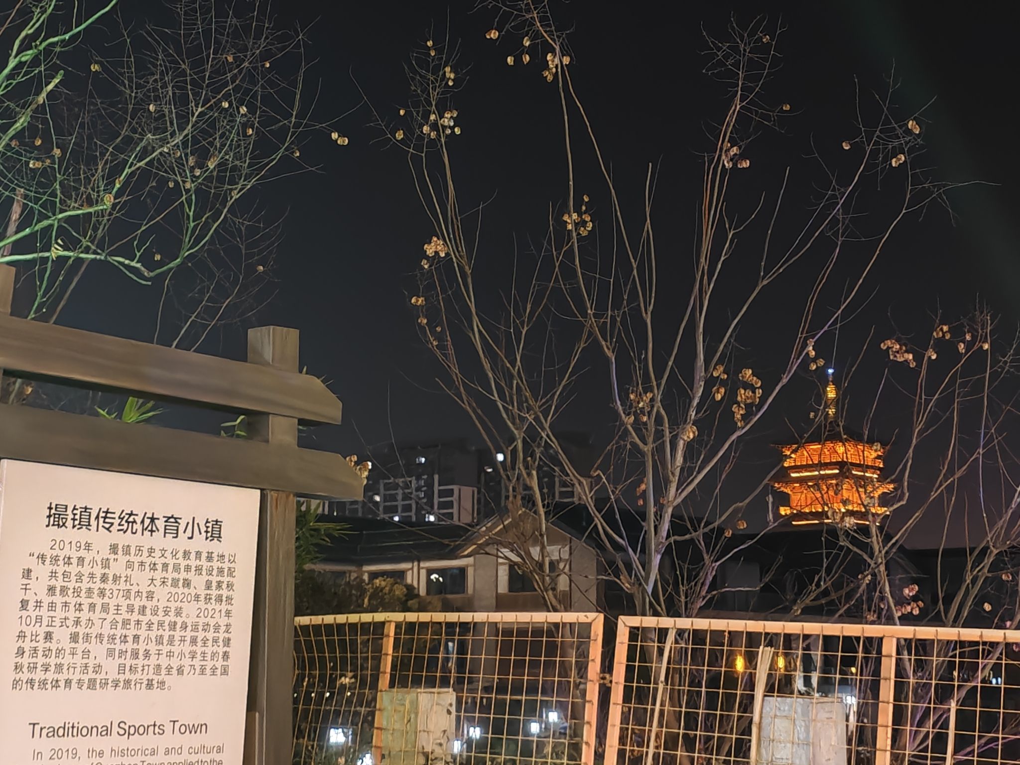 撮街山海经灯会旅行图片 3