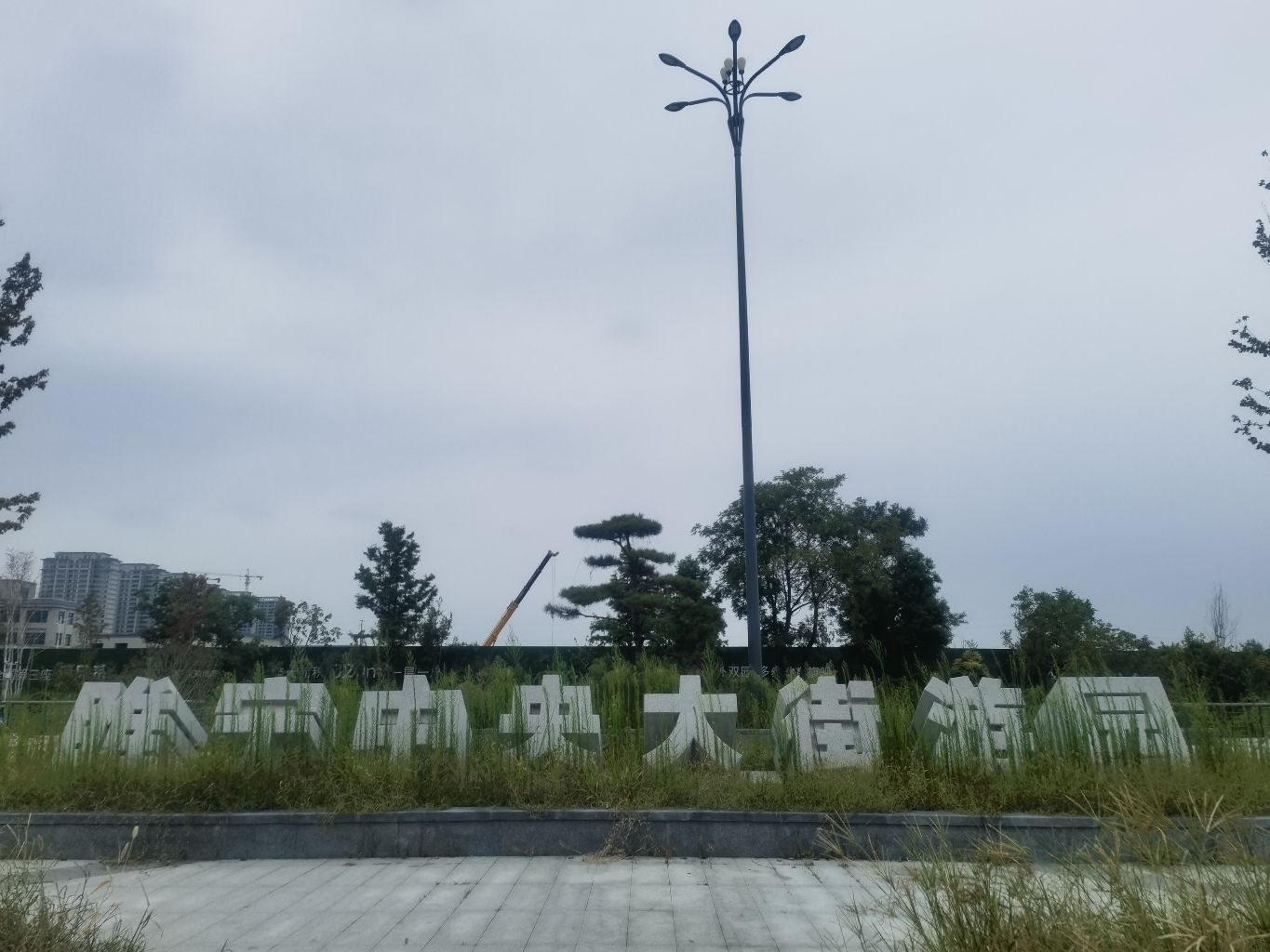睢宁中央大街游园旅行图片 1