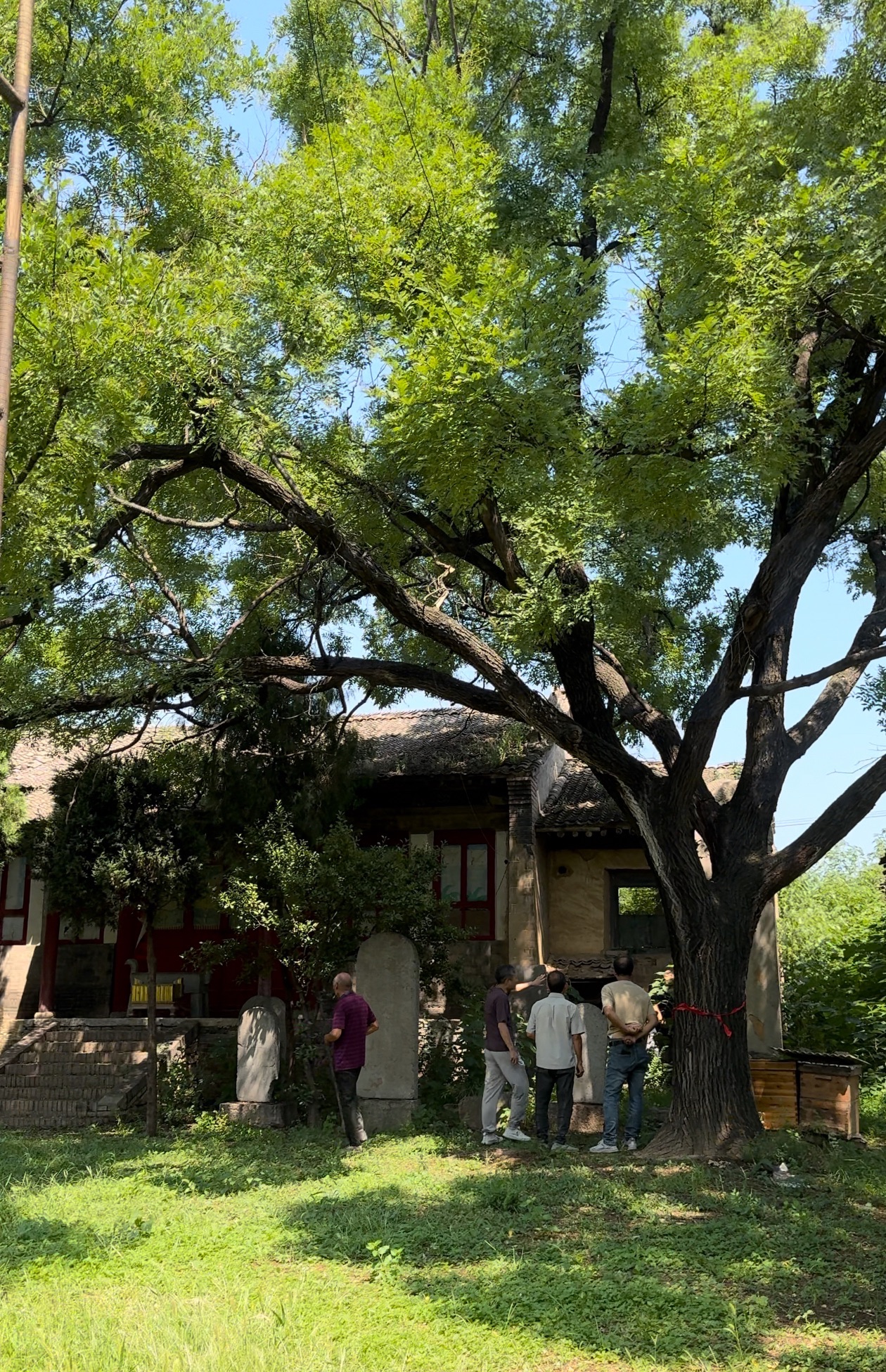 五岳庙旅行图片 2