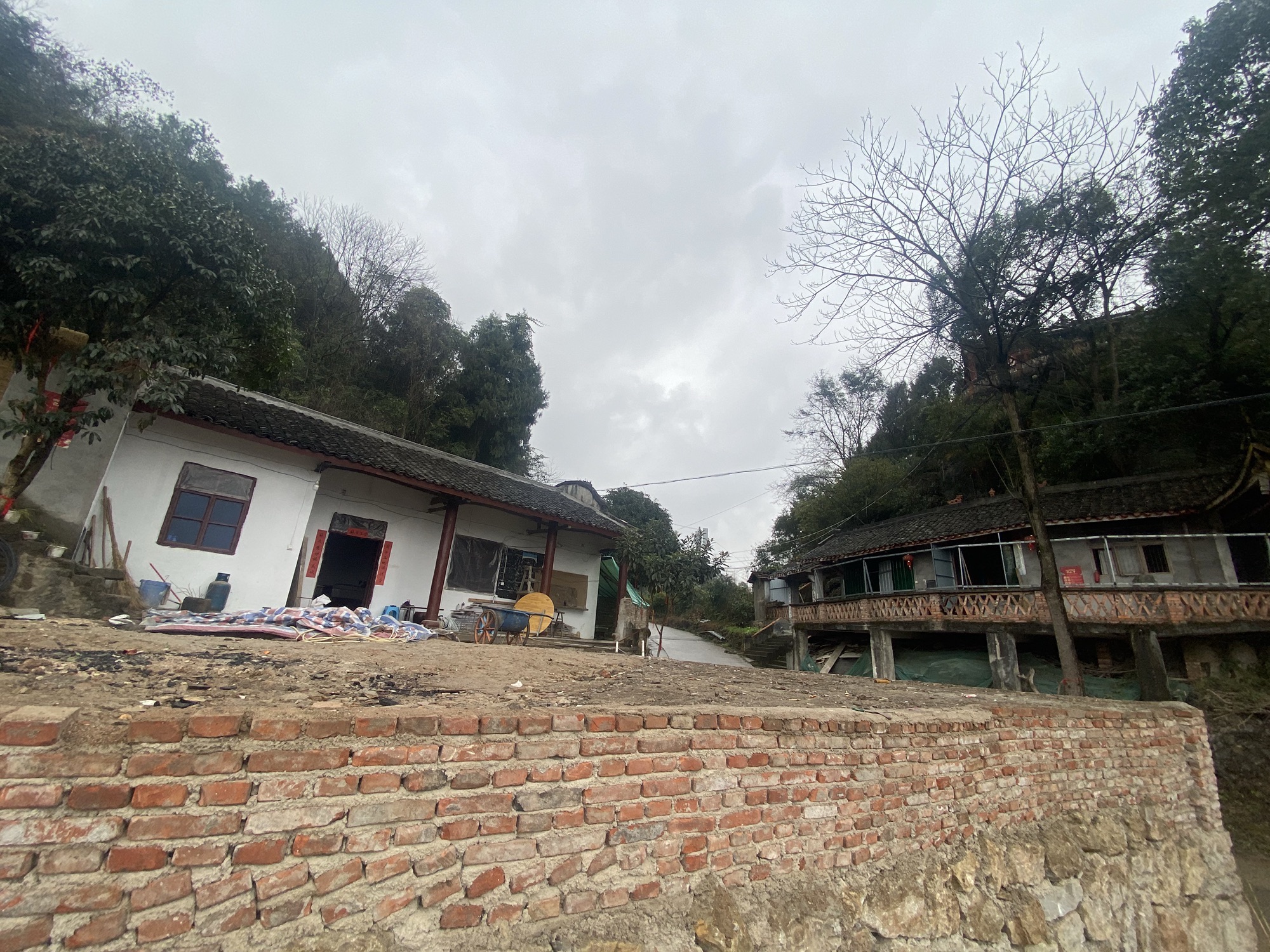 天灵观旅行图片 1