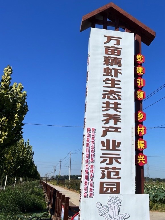 藕花虾田景区旅行图片 1