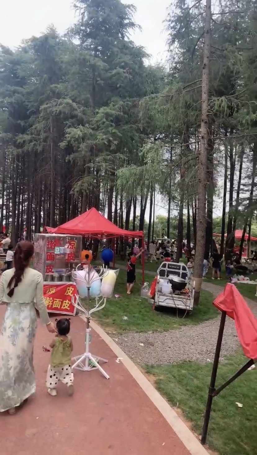 迷雾森林CafeCamp旅行图片 2